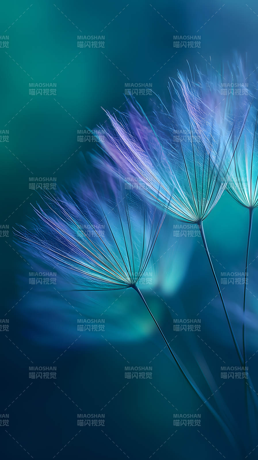 蒲公英梦幻意境图片