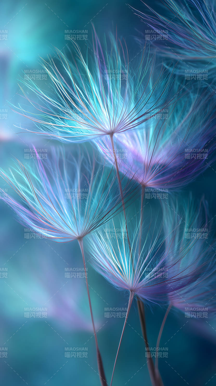 蒲公英梦幻仙气图片