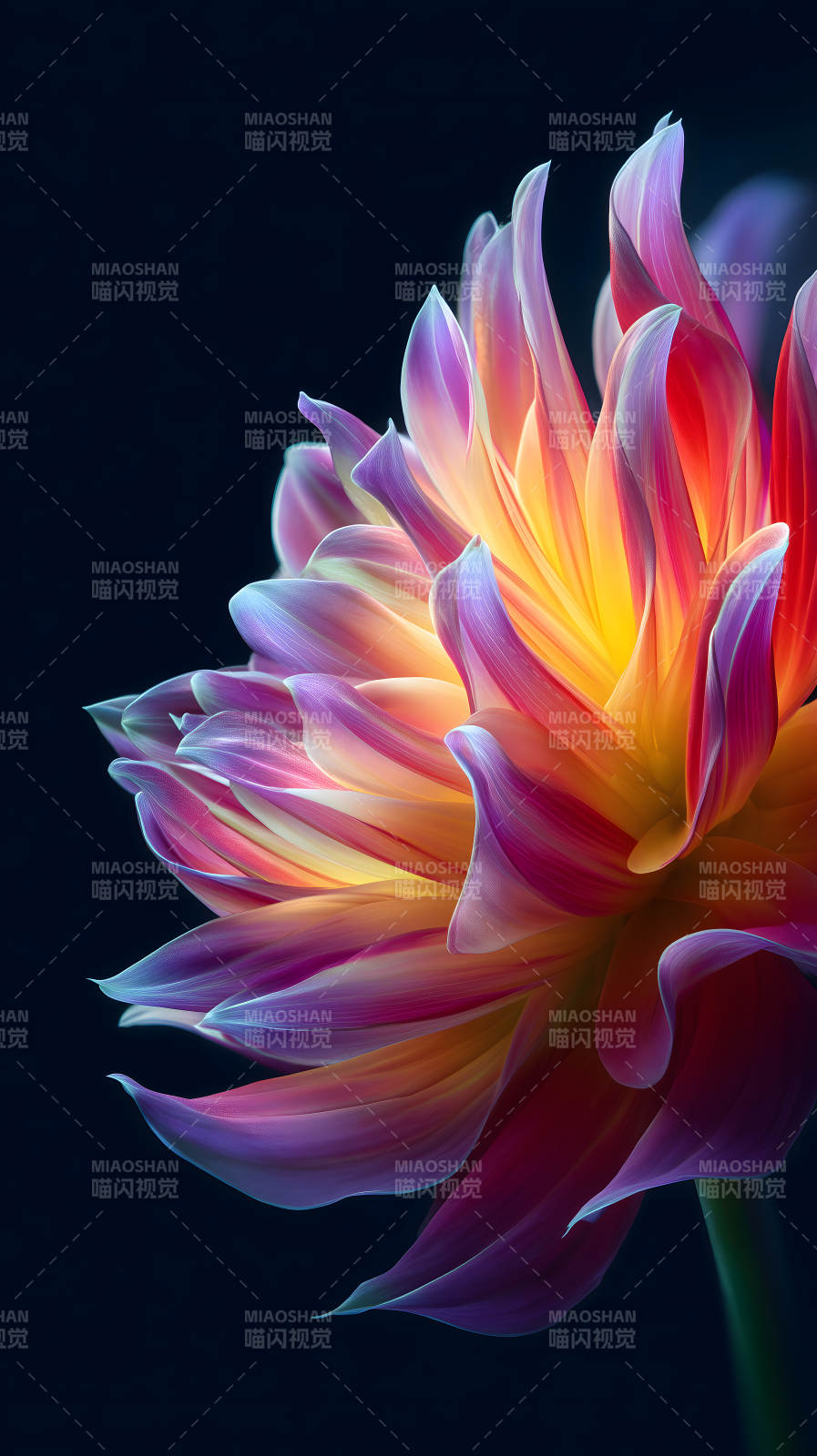 绚丽花朵特写色彩明亮图片