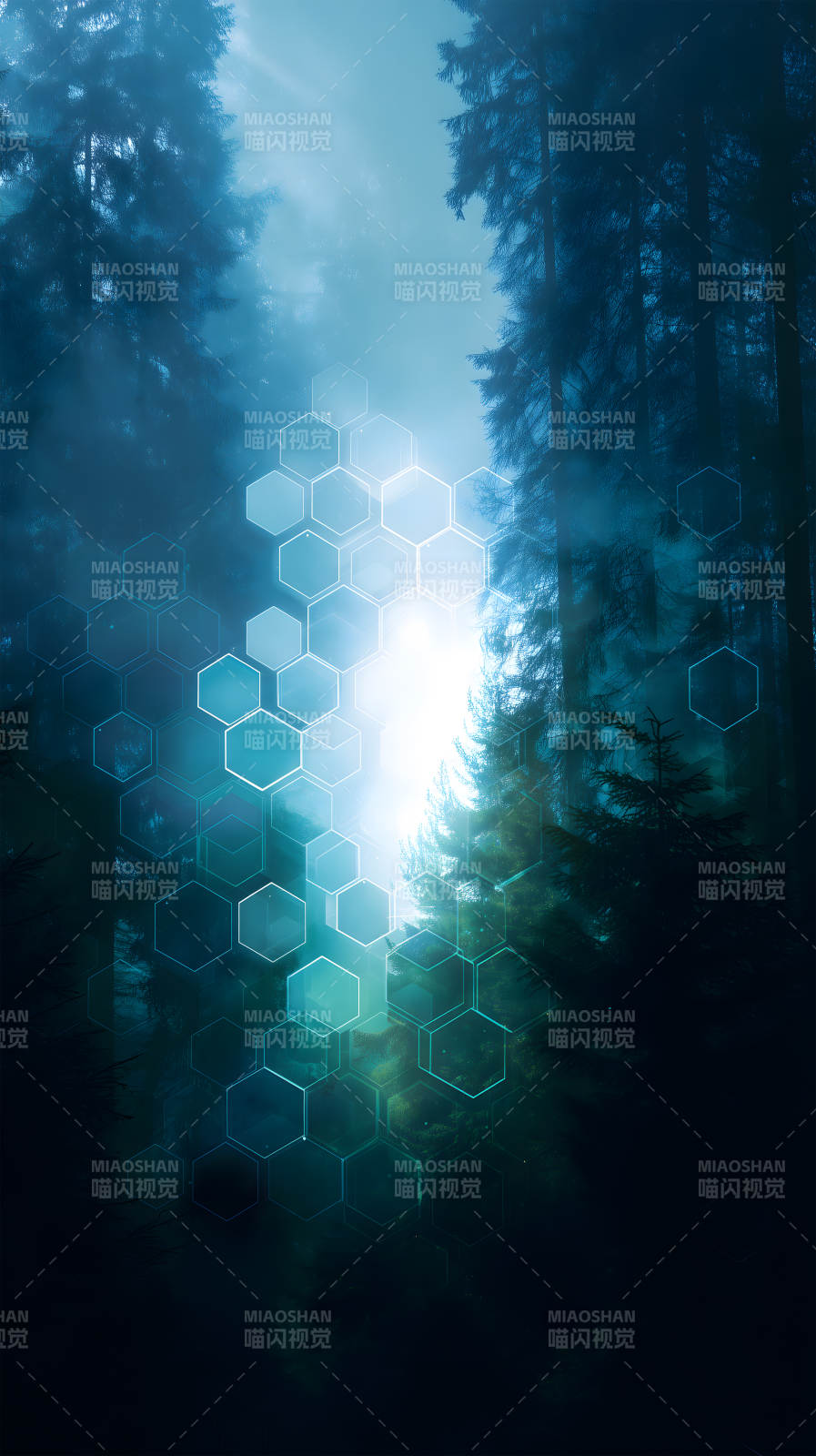 森林光芒科技感图片