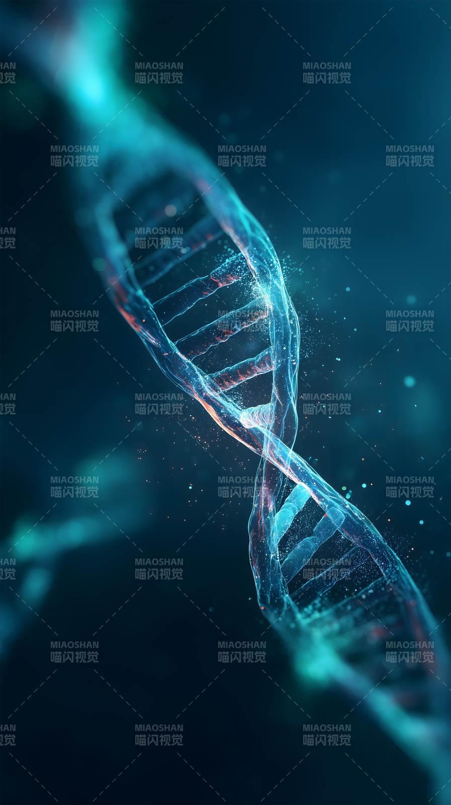 DNA螺旋结构图图片