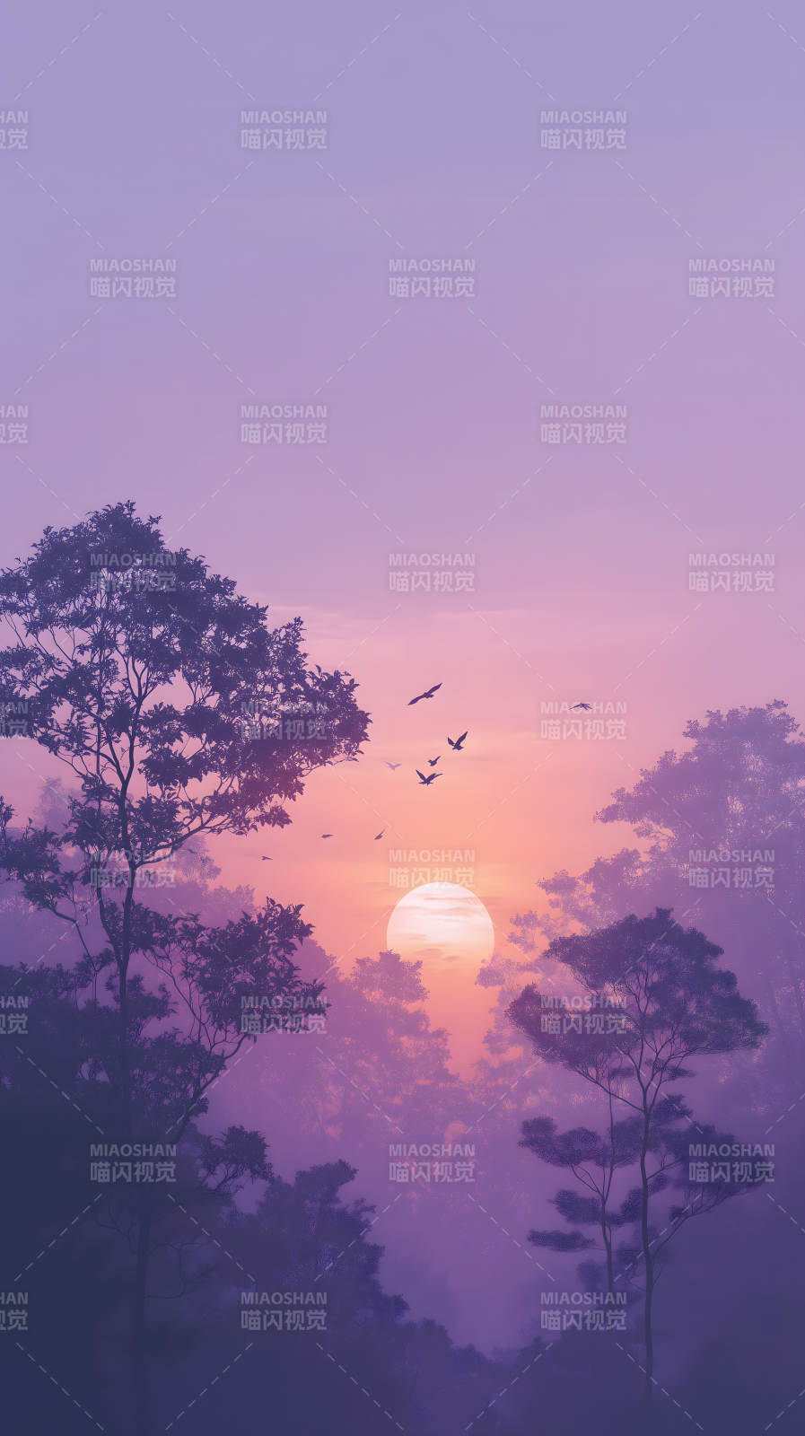 紫雾森林夕阳美景图片