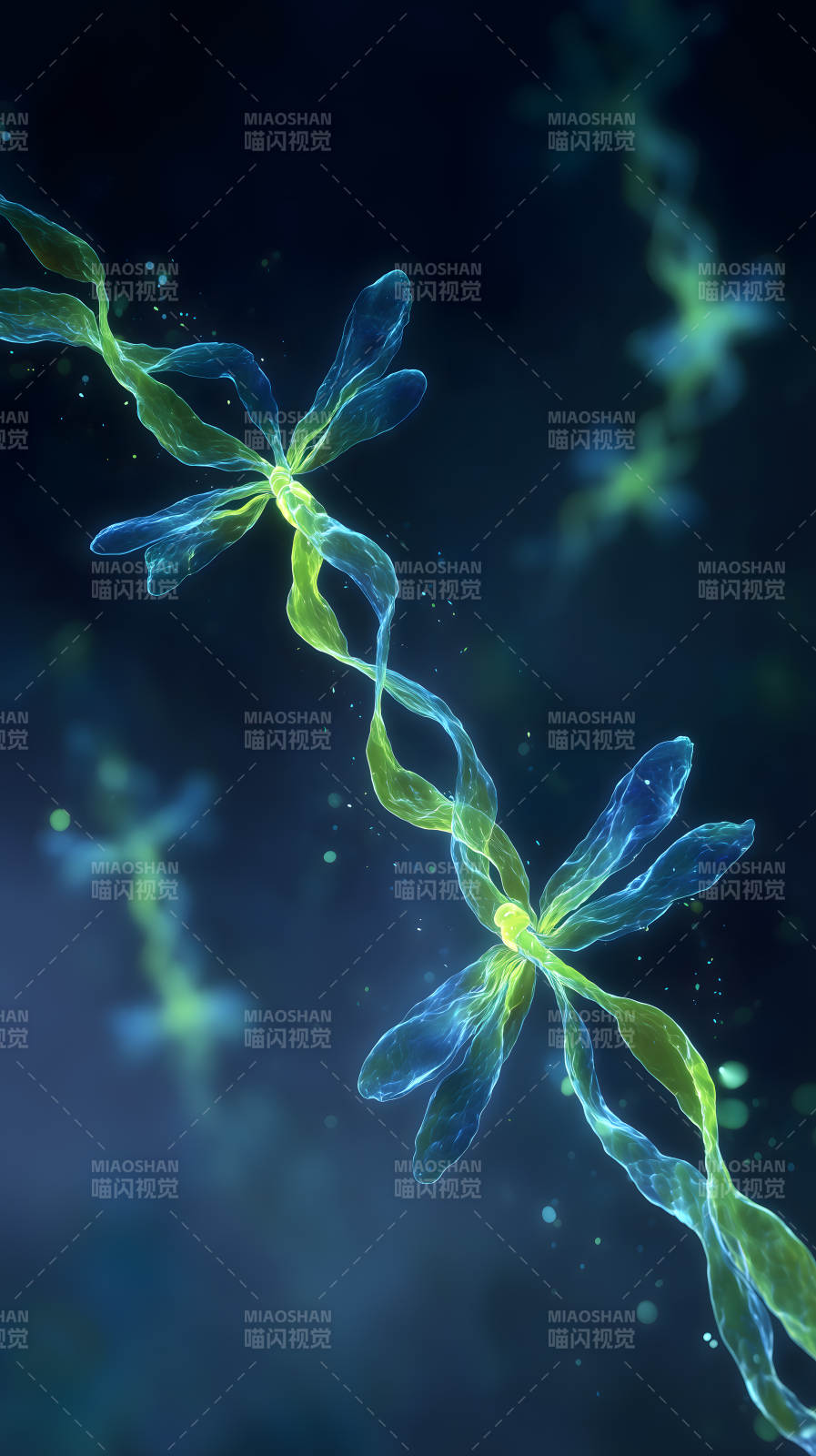 梦幻水母生物结构图片