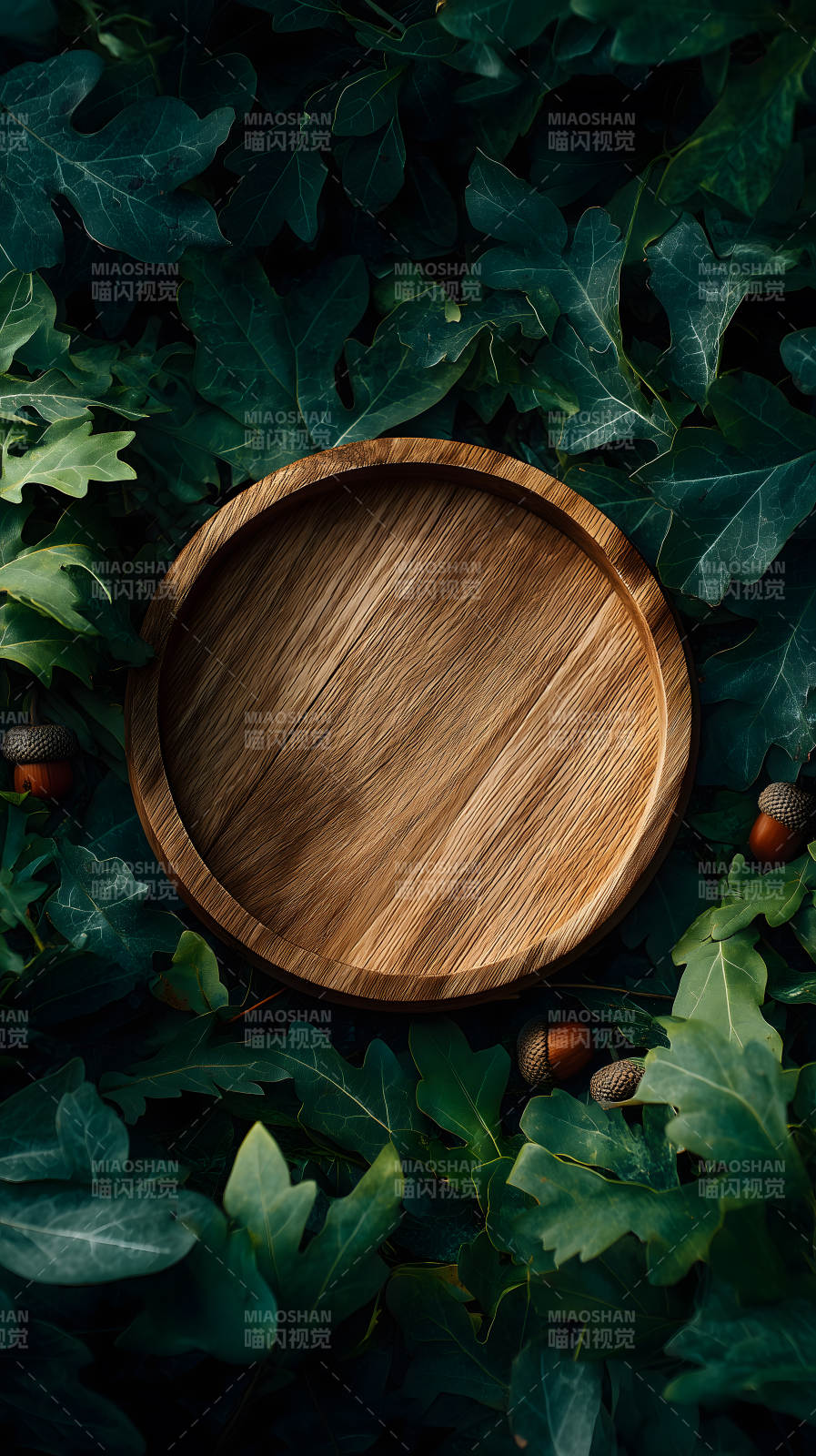 木盘绿叶秋日景象图片