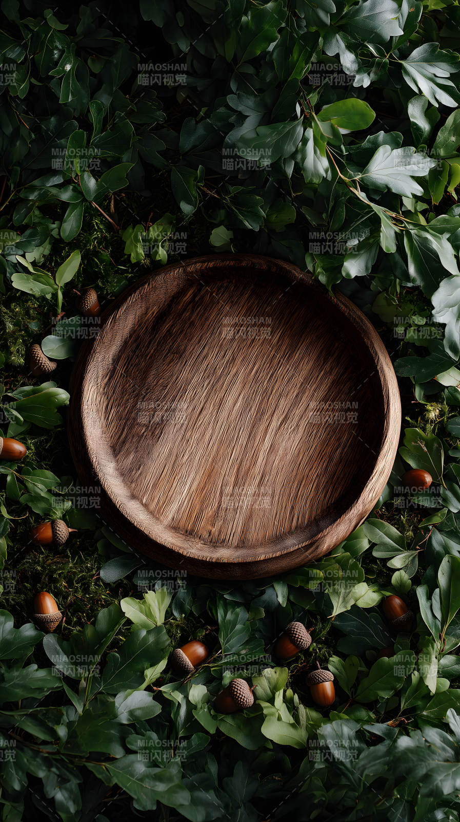 木盘与森林元素图片