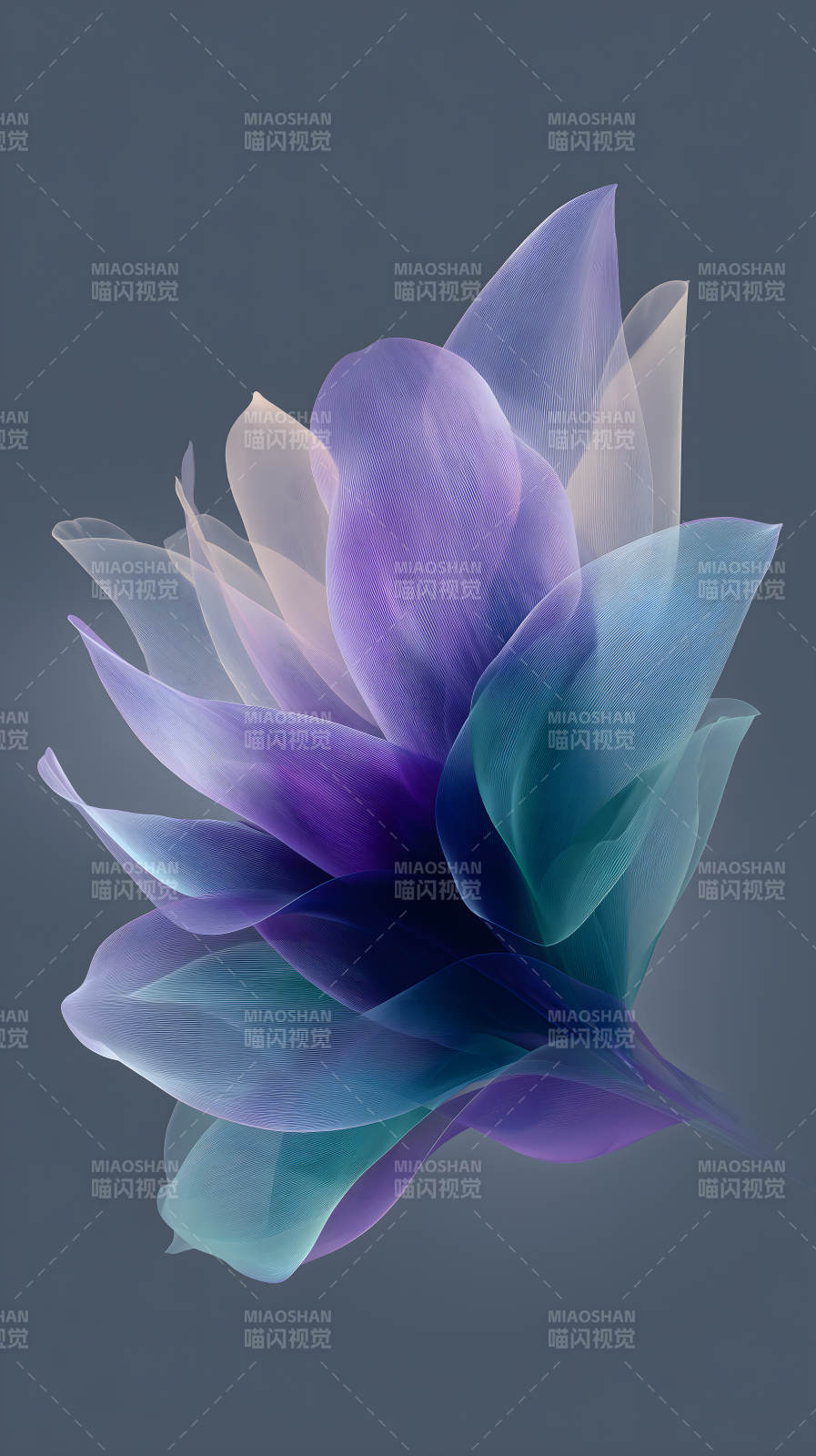 抽象花朵优雅绽放图片