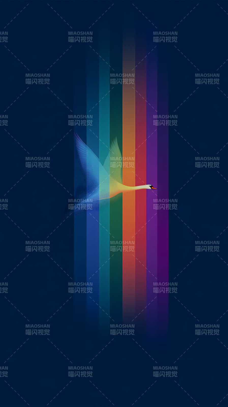 飞翔彩虹天鹅图片