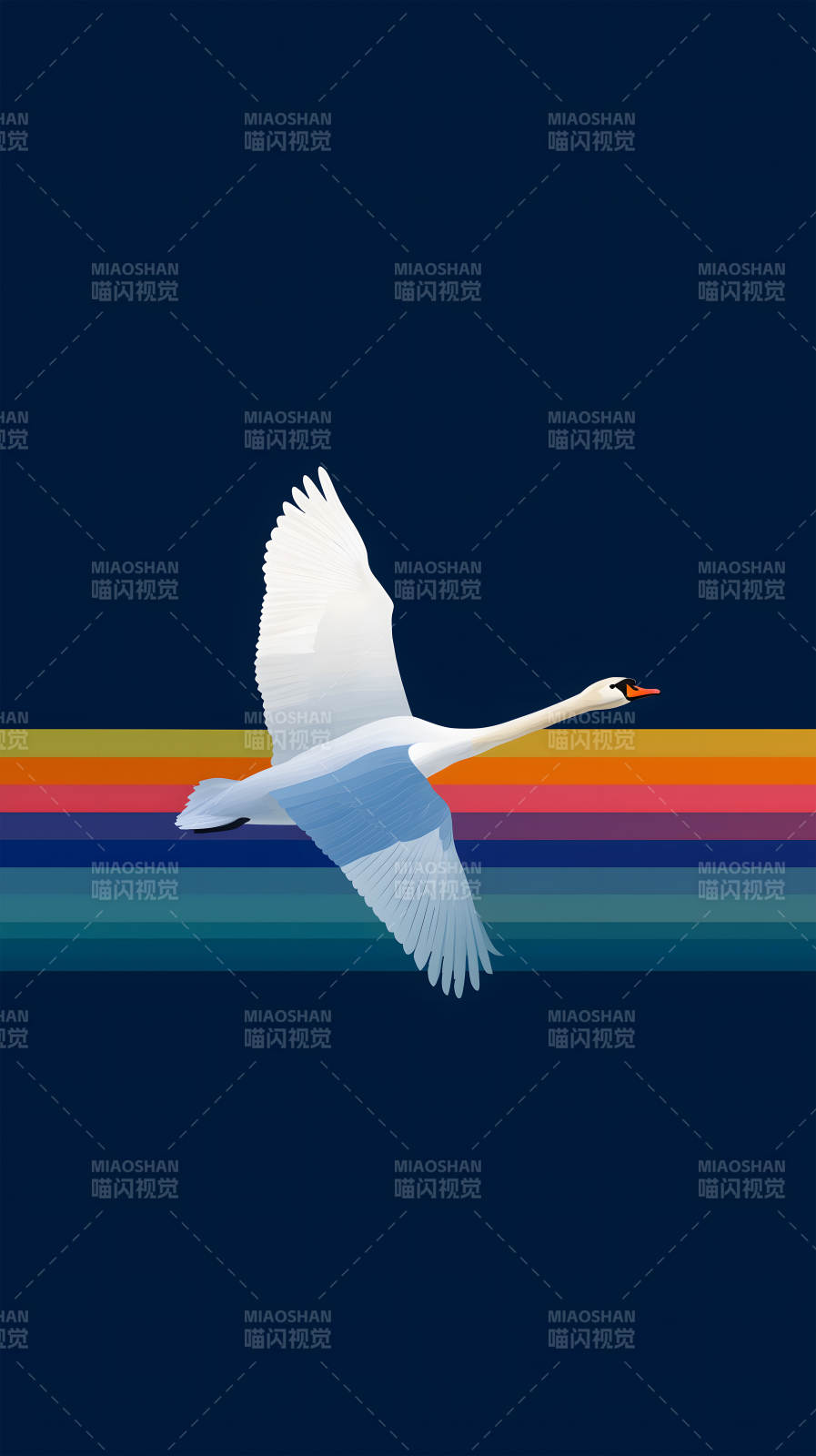 飞翔的白天鹅与彩虹图片