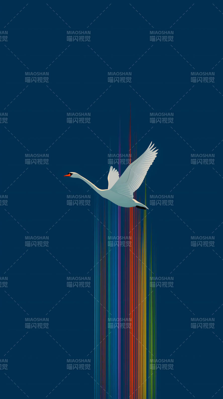 天鹅彩虹飞翔图片