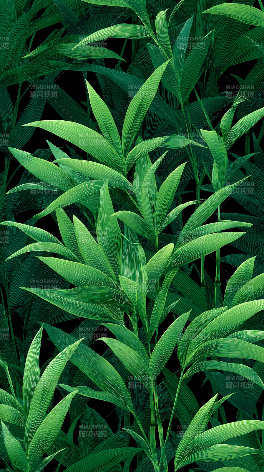 翠绿竹叶繁茂生长图片