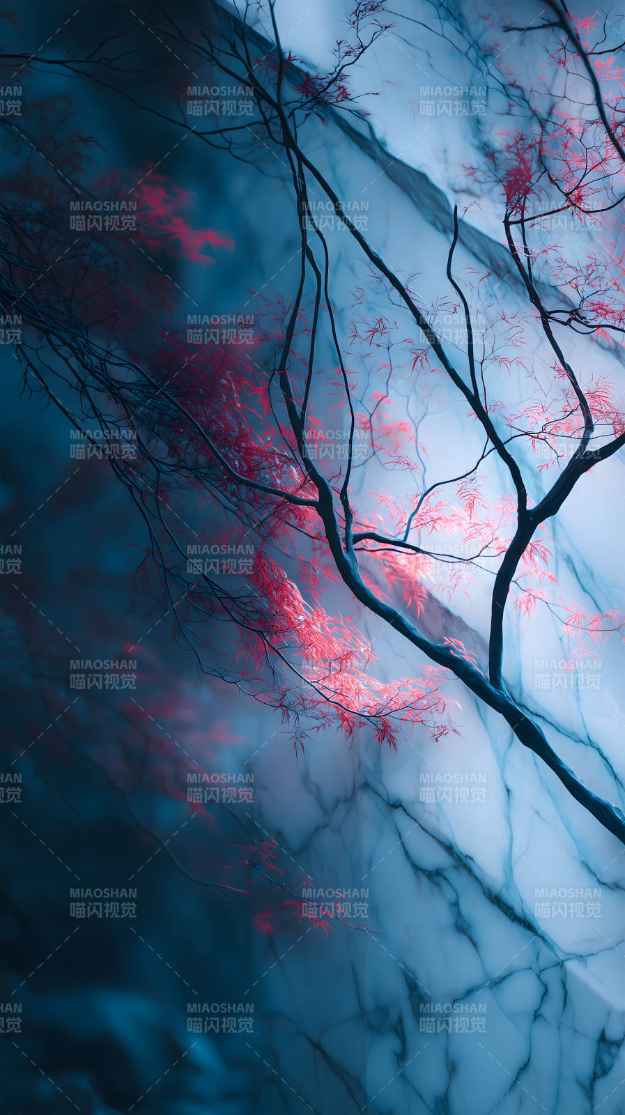 红叶映衬大理石图片