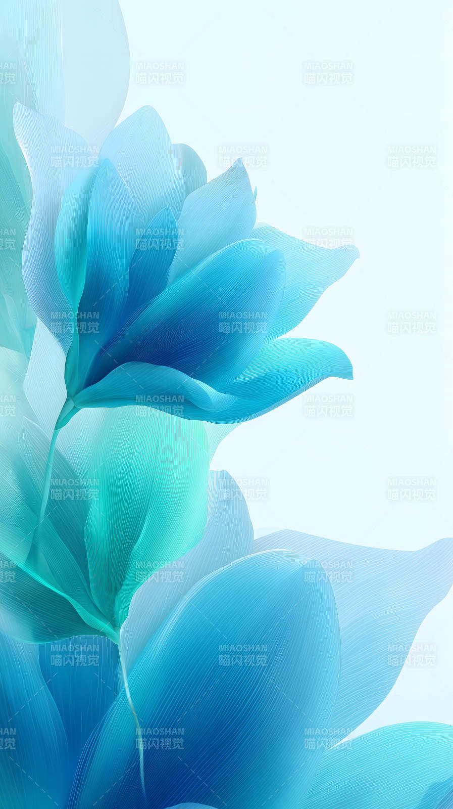 蓝色花朵绽放光影图片