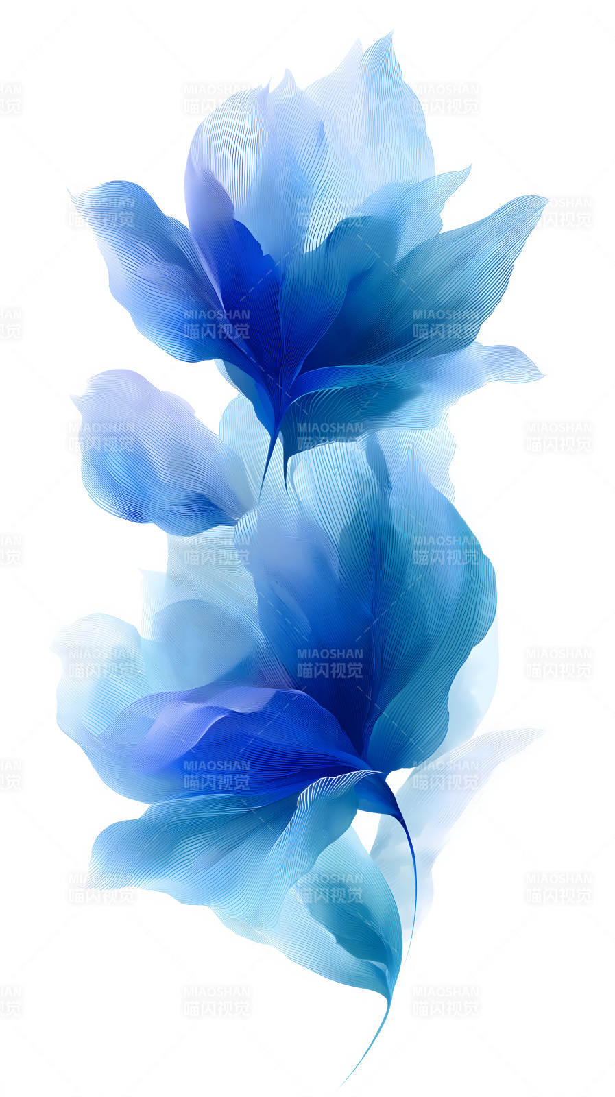 蓝色花朵优雅绽放图片