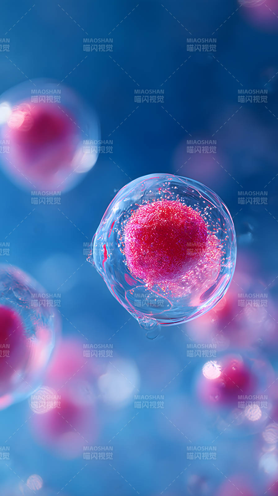 细胞特写微观世界图片