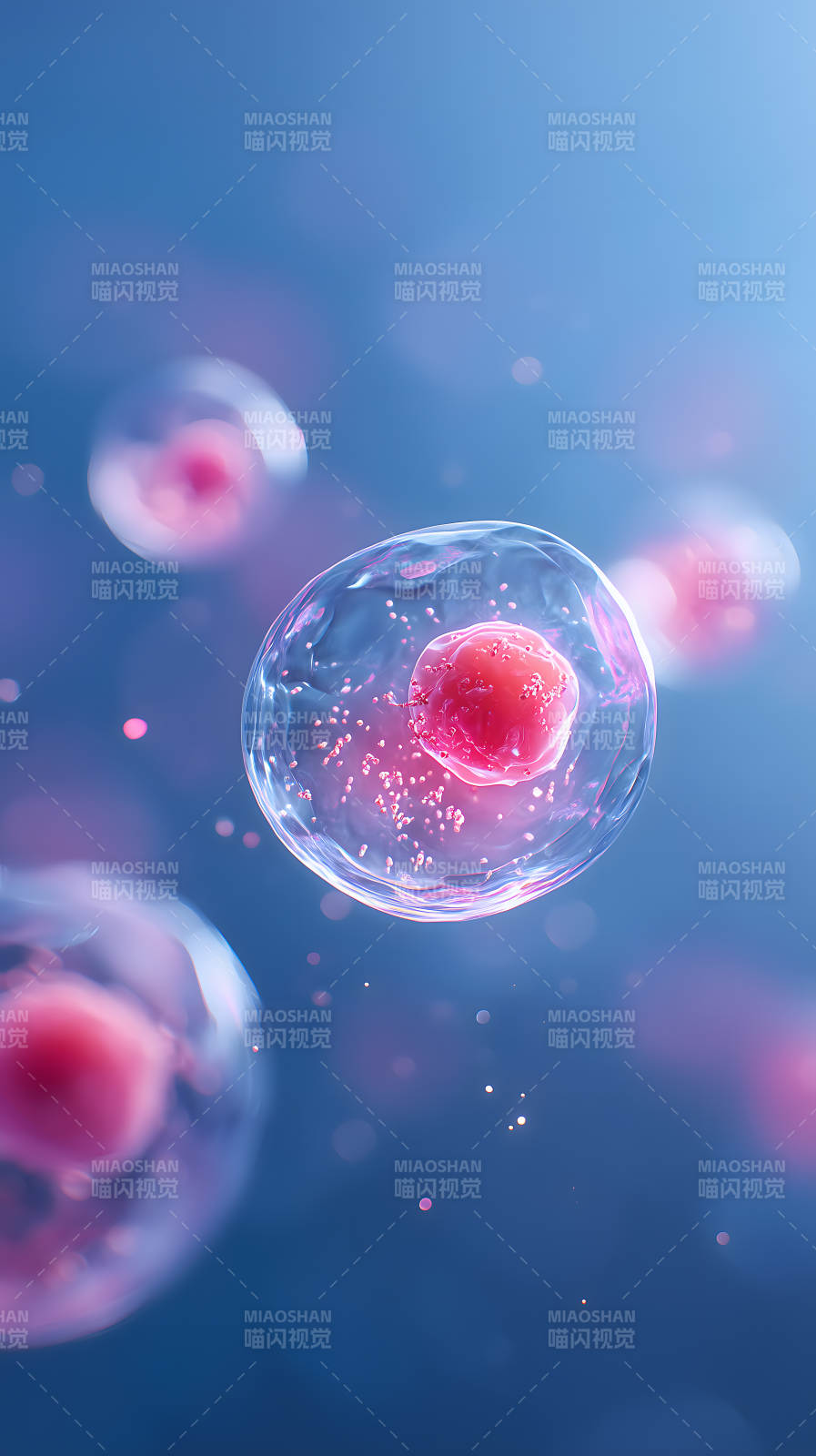 细胞微观世界细节呈现图片