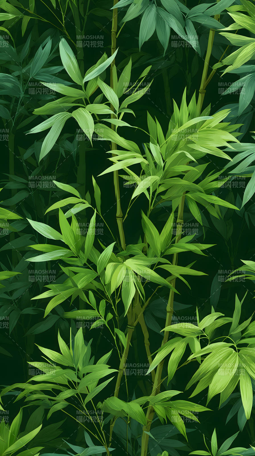 竹林繁茂生机盎然图片