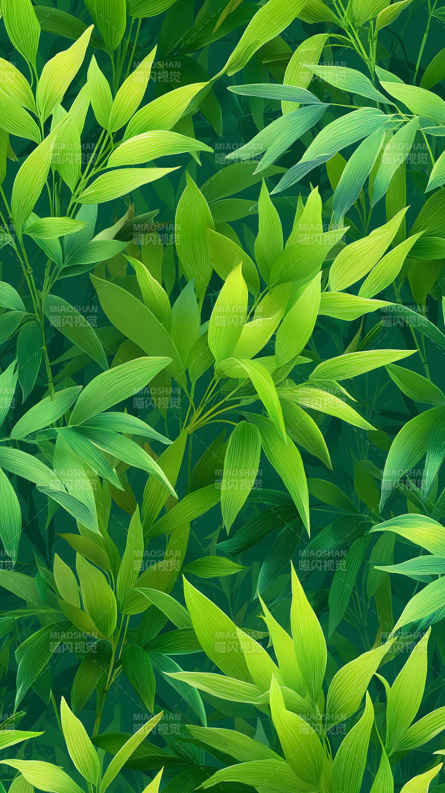 翠绿竹叶繁茂生长图片