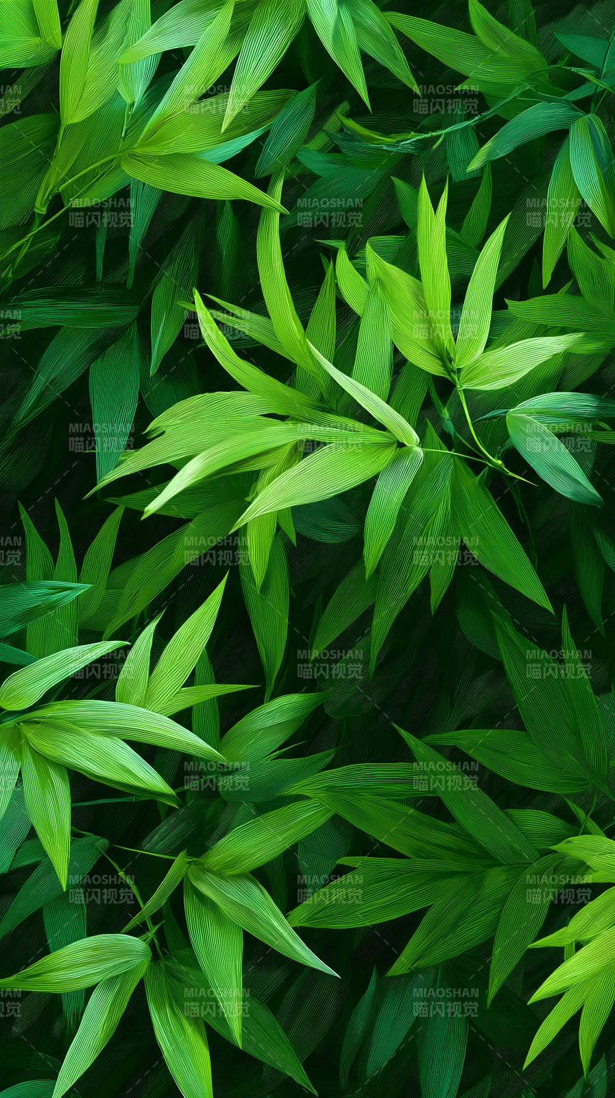 竹叶丛生翠绿满屏图片