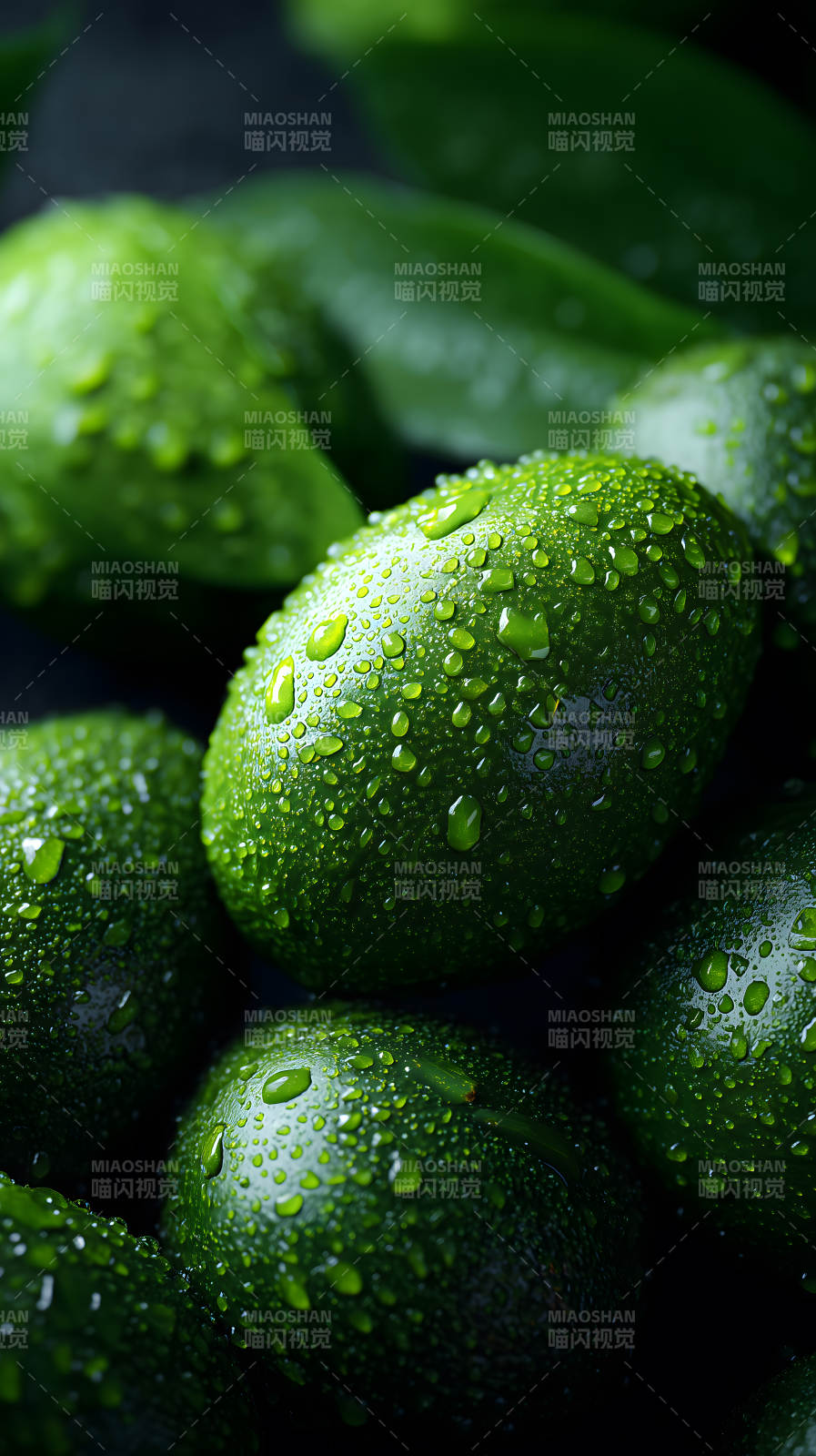 青翠欲滴的鳄梨图片