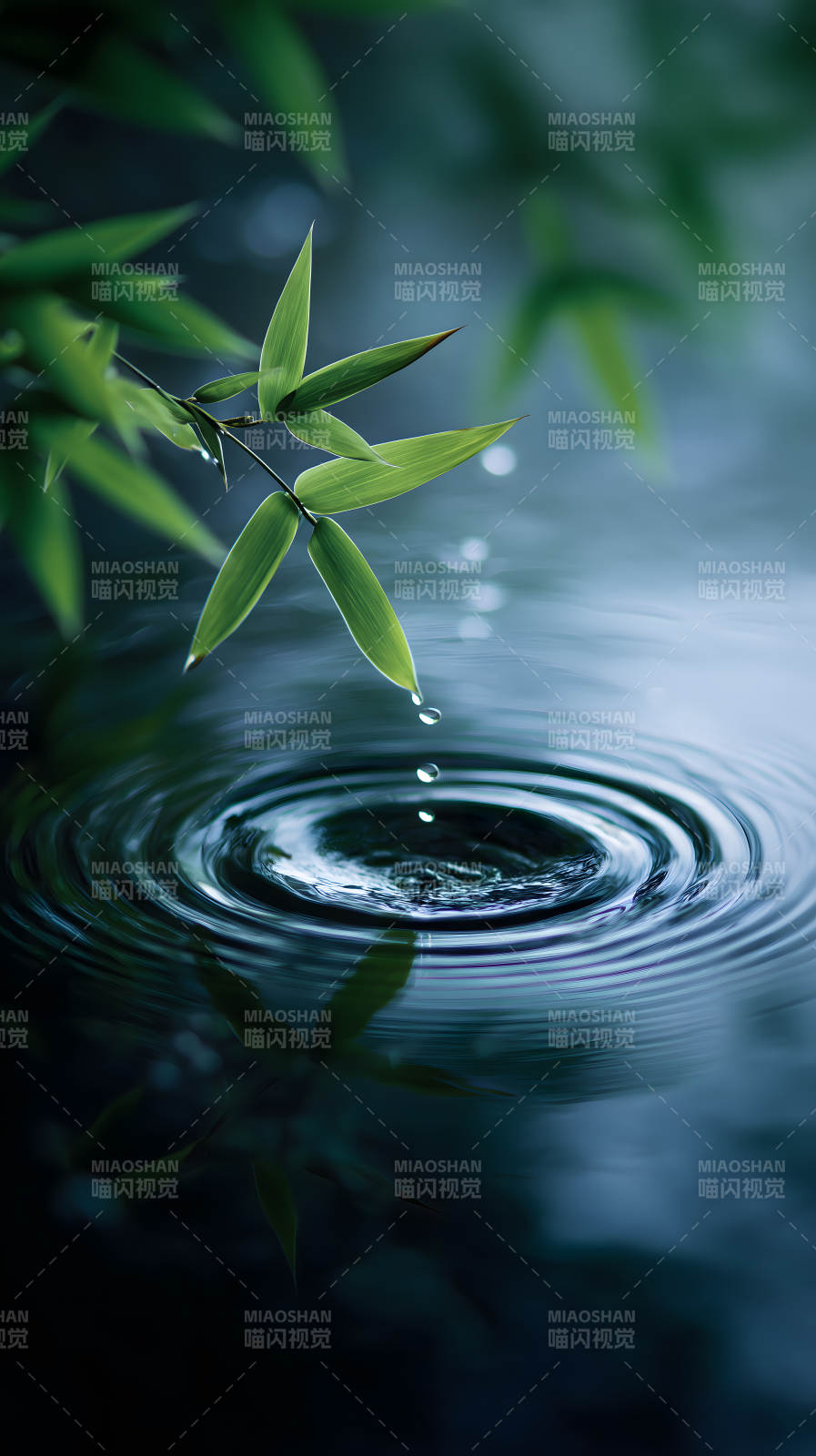 竹叶水滴涟漪瞬间图片