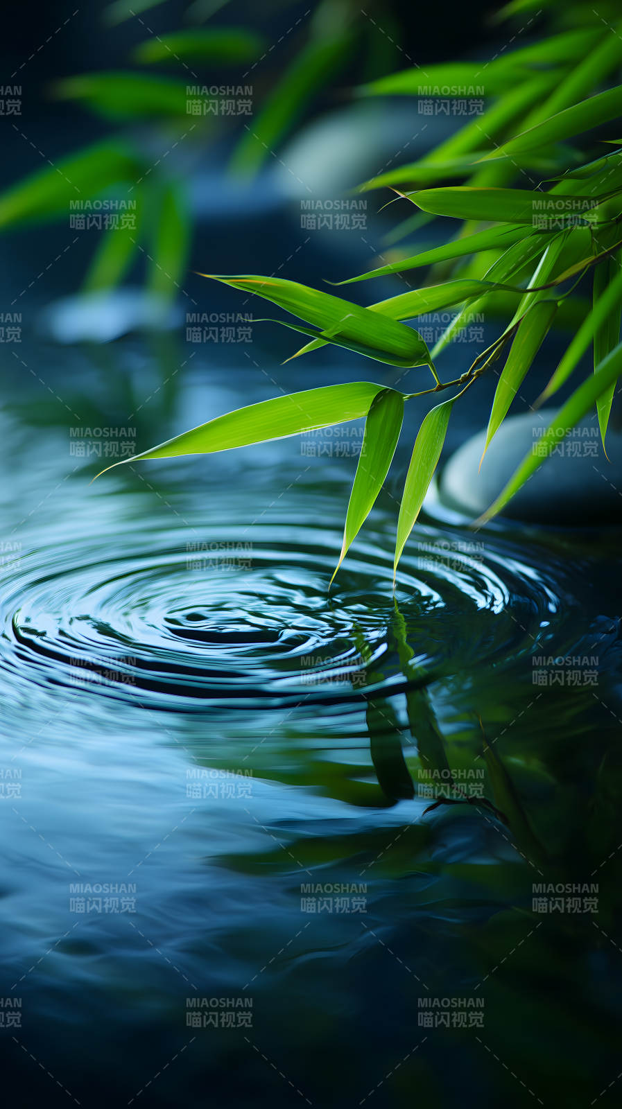 竹叶水波荡漾自然图片