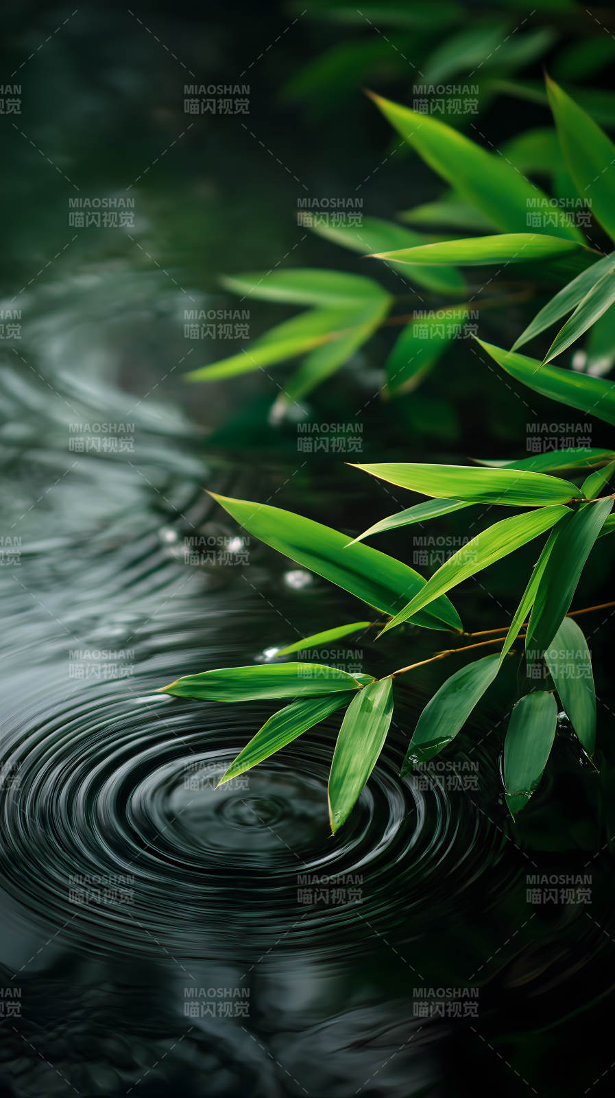 竹叶水波平静意境图片