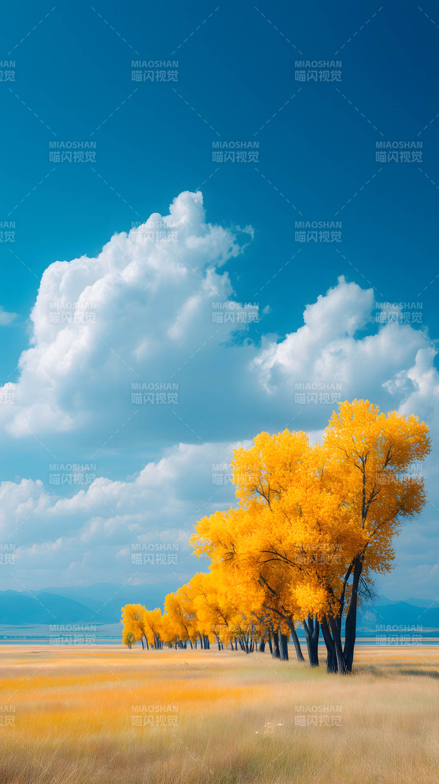 秋日金黄树林蓝天白云图片