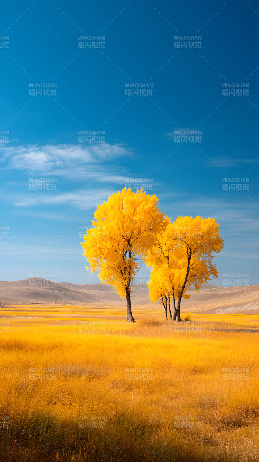 秋日金黄风景画图片