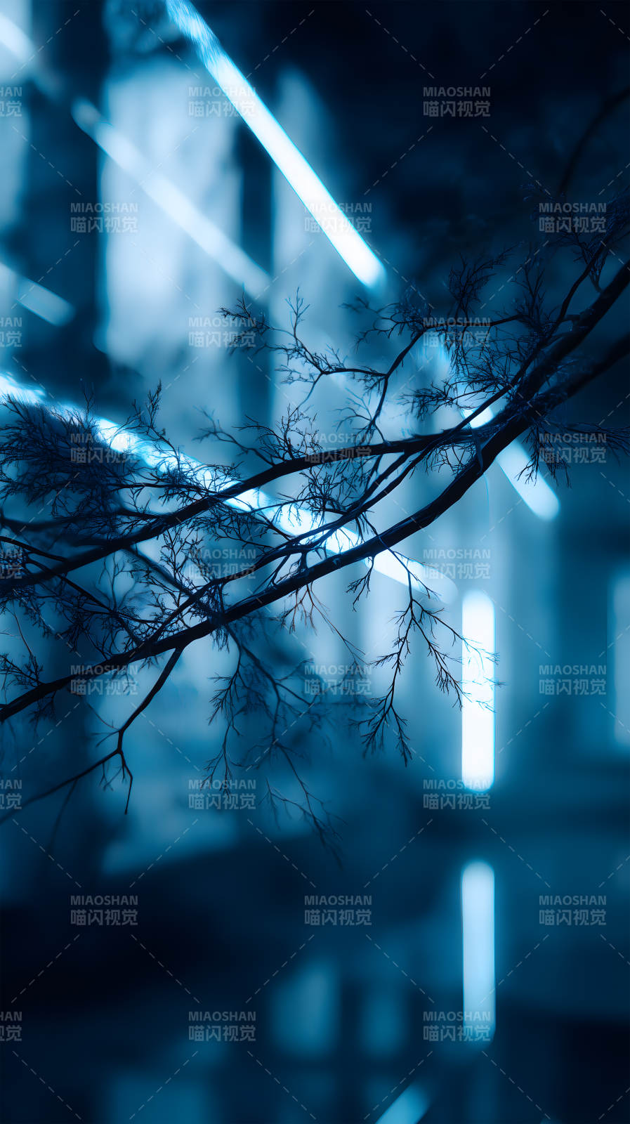 蓝调枝条光影交错图片