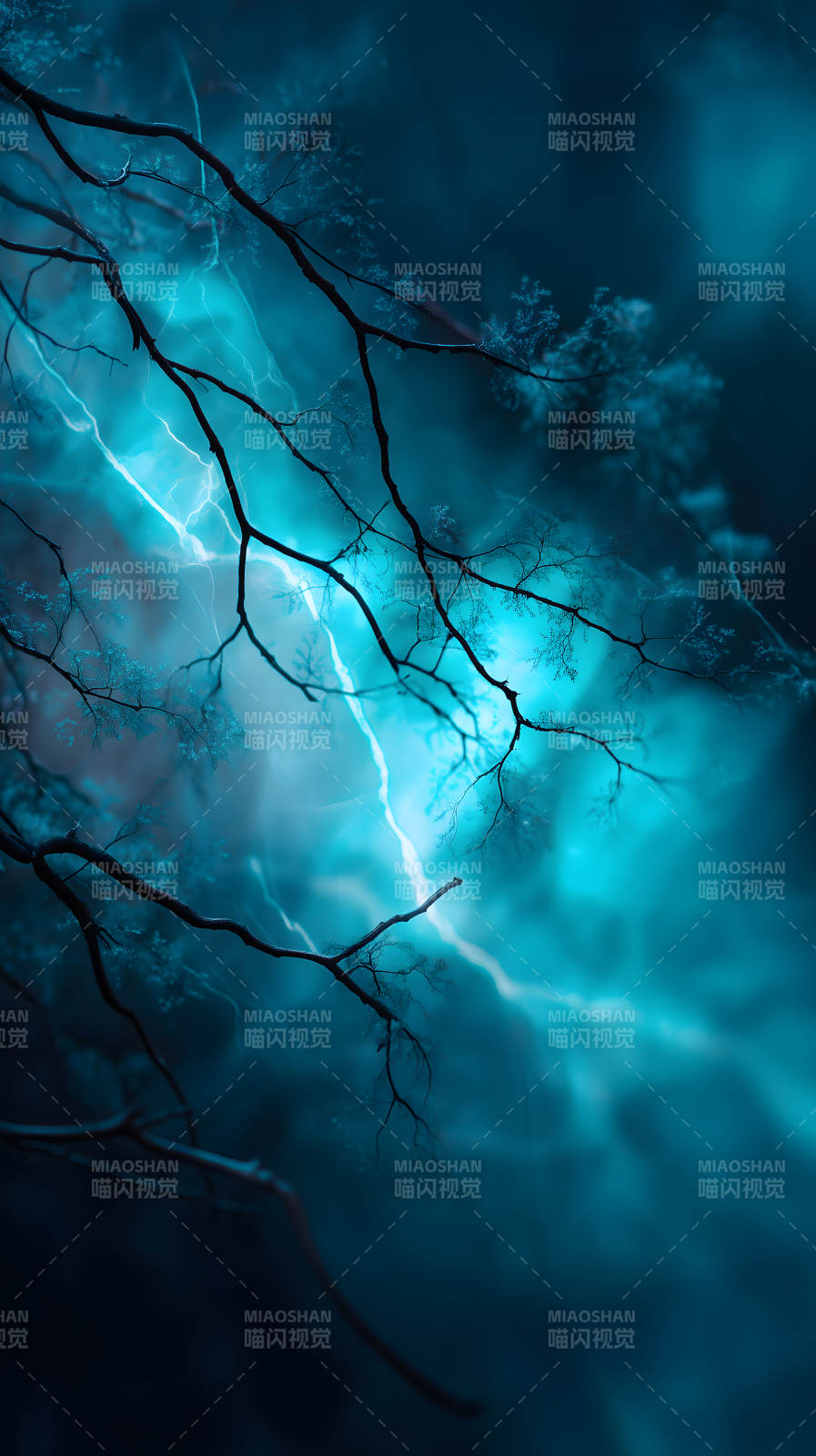 树枝闪电交织景象图片