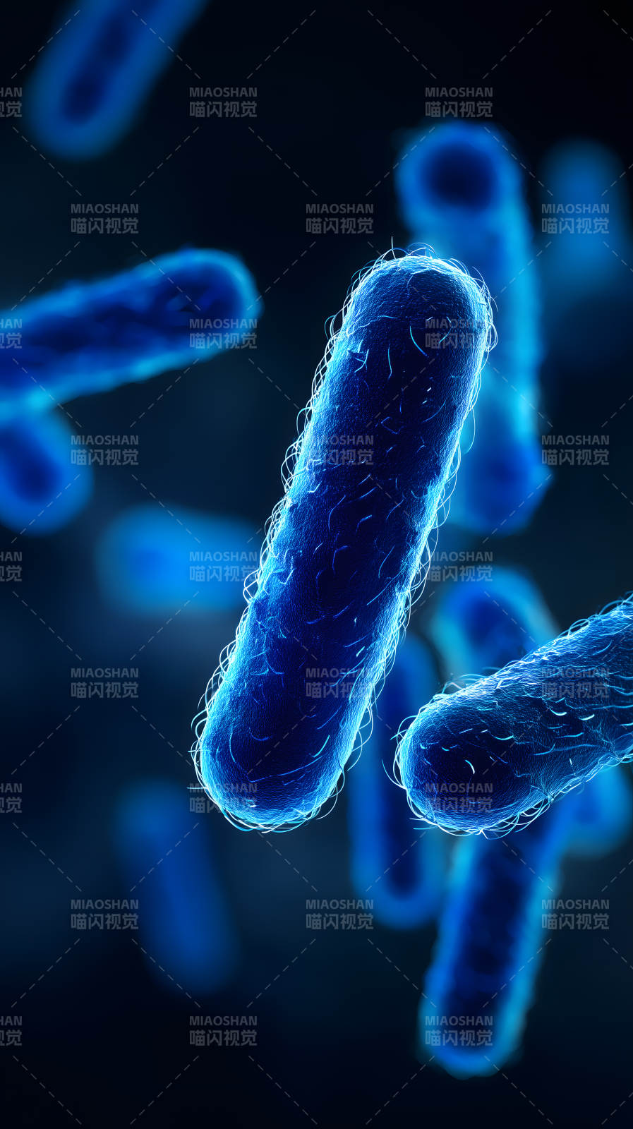 细菌微观世界图片