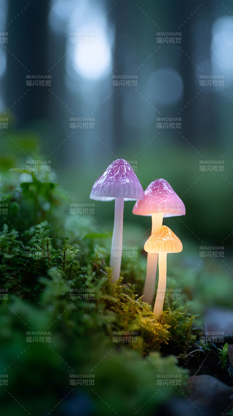 发光蘑菇仙境图片