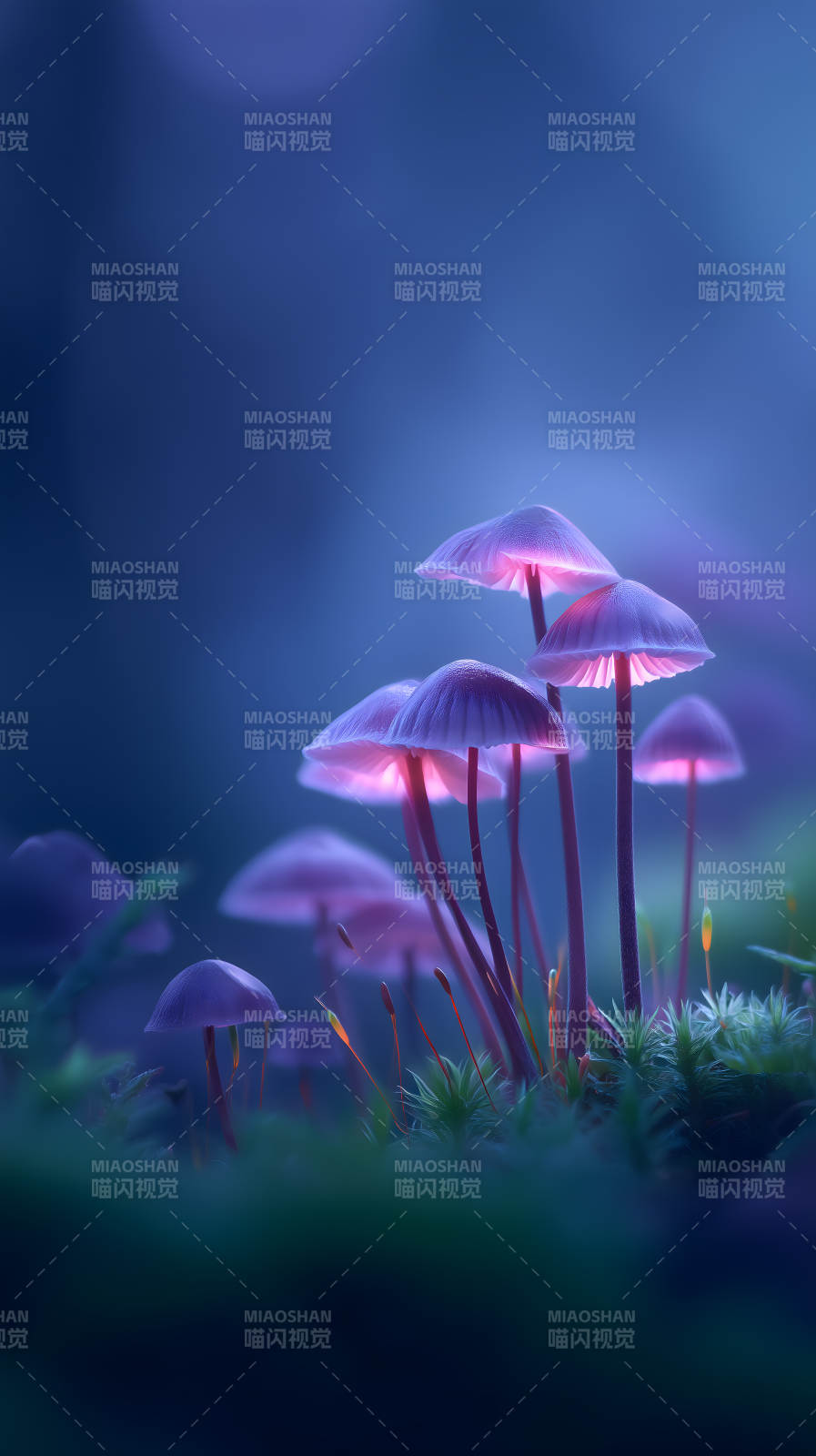 梦幻紫色蘑菇森林图片