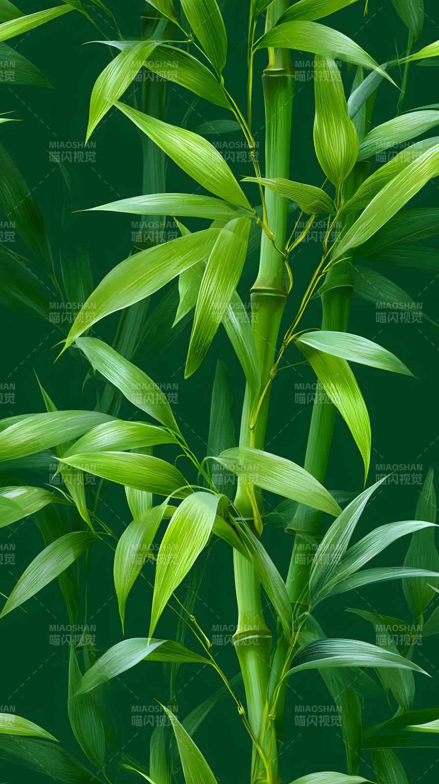 竹林翠绿生机勃勃图片