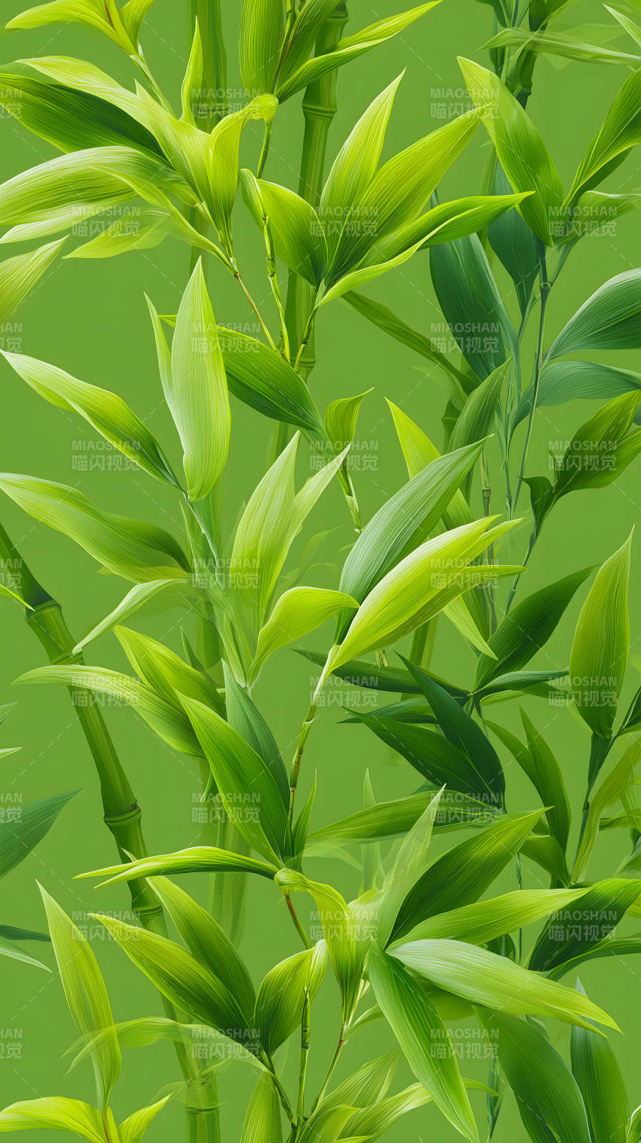 翠绿竹林风姿图片