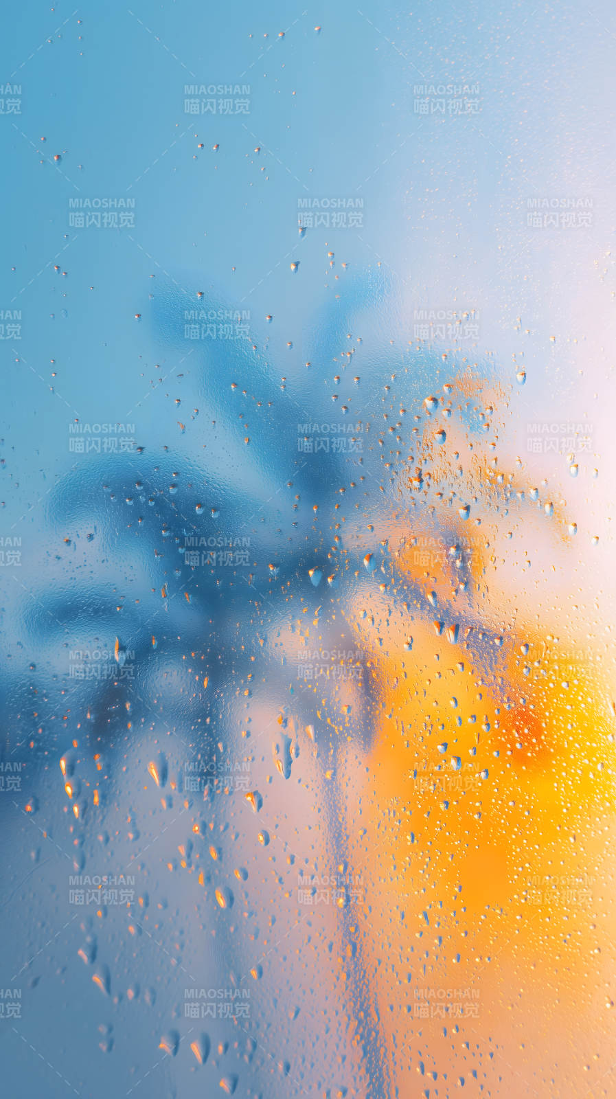 水珠映衬光影景象图片