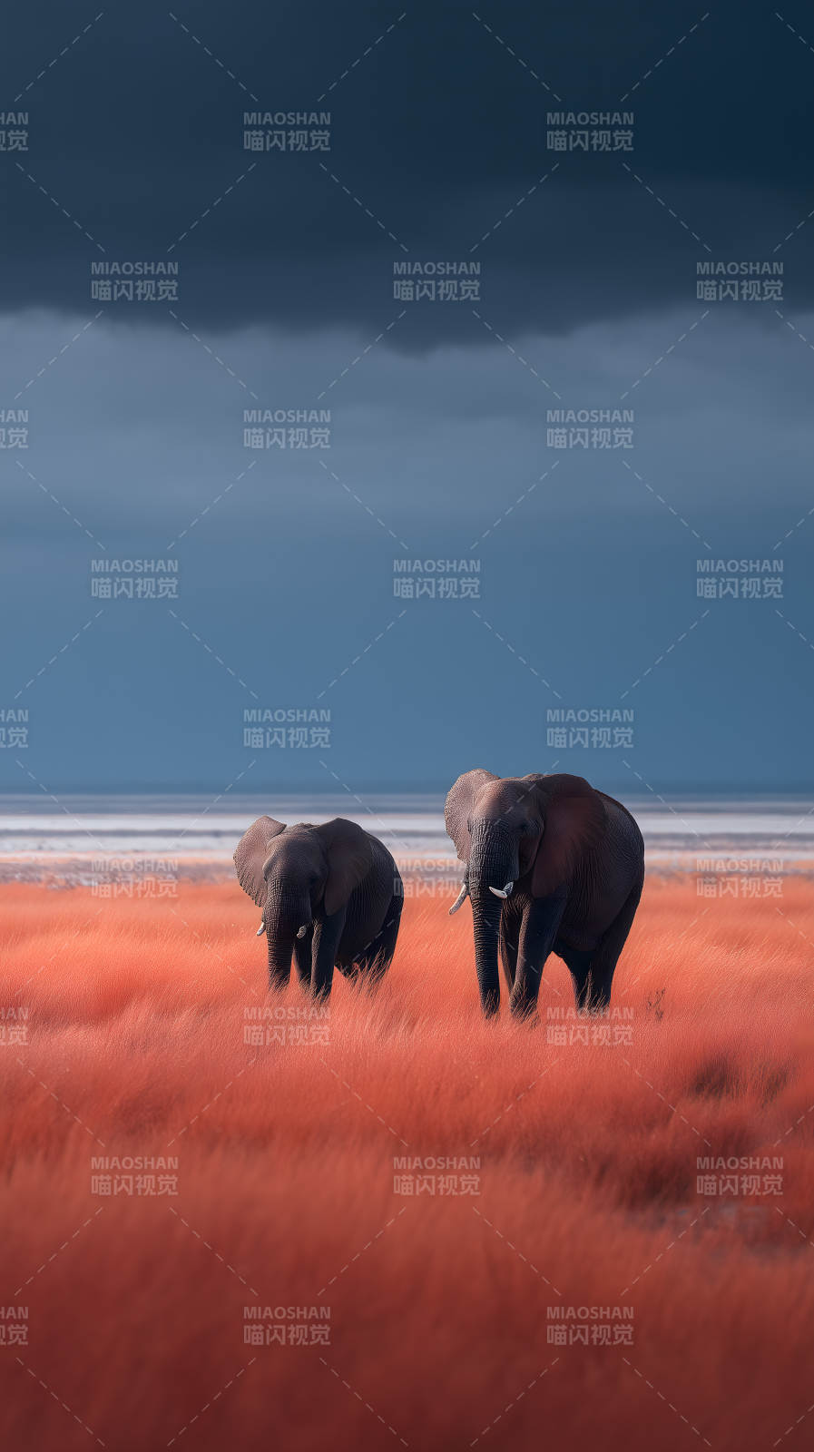 非洲草原上的象群图片