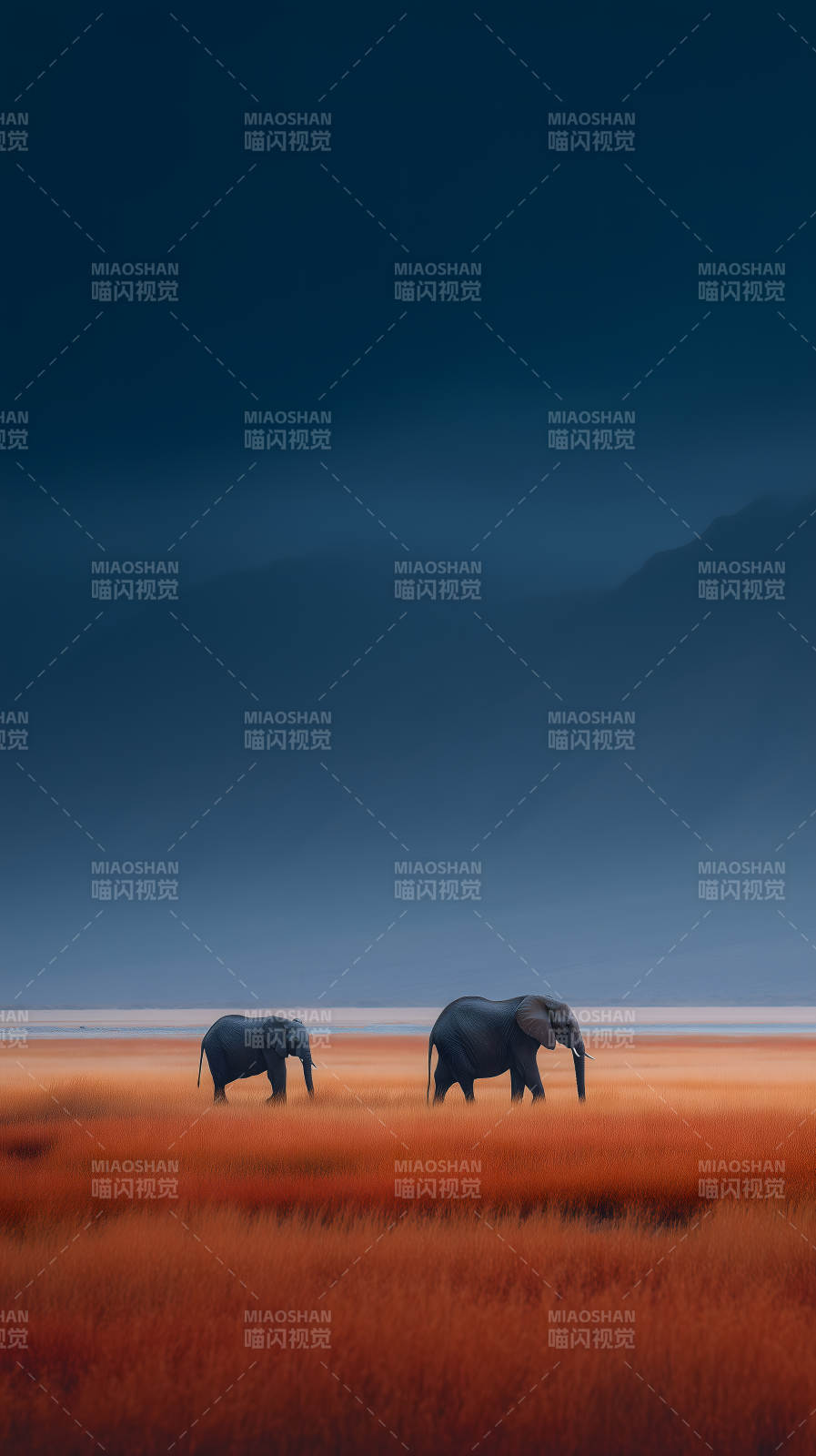 草原象群步入暮色图片