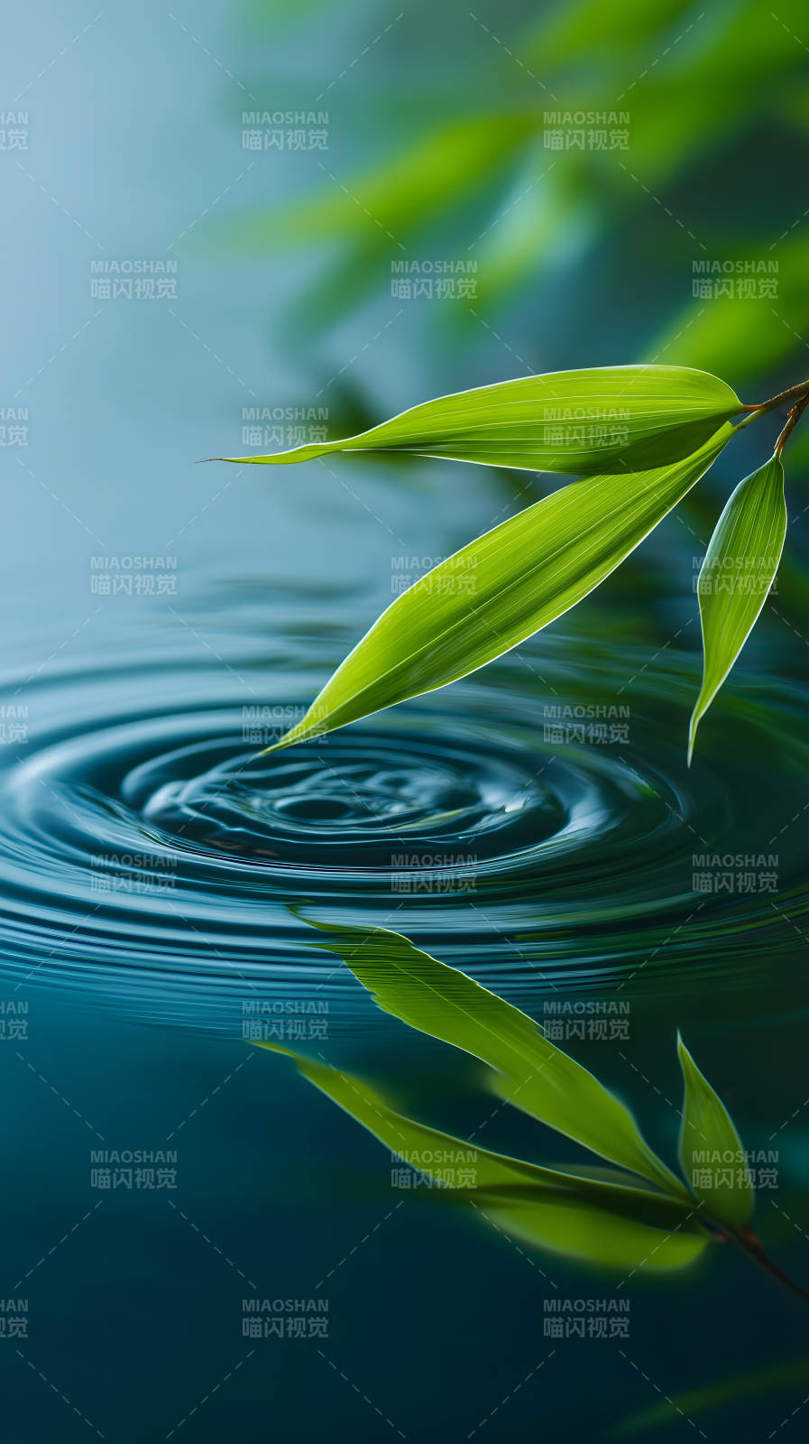 翠竹映水涟漪轻漾图片