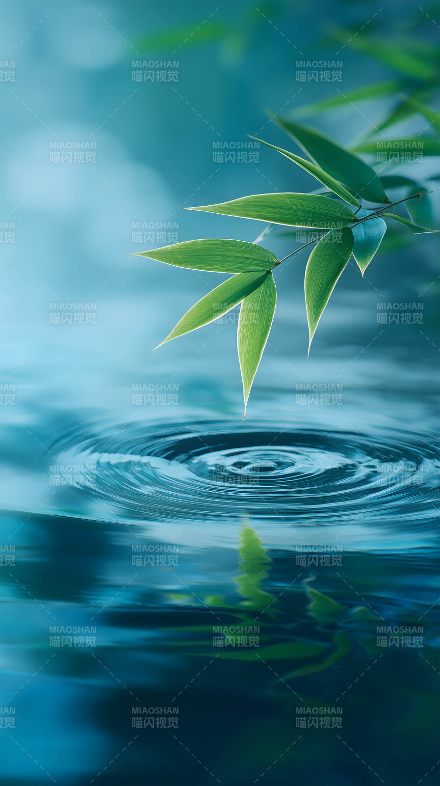 竹影水波生机盎然图片