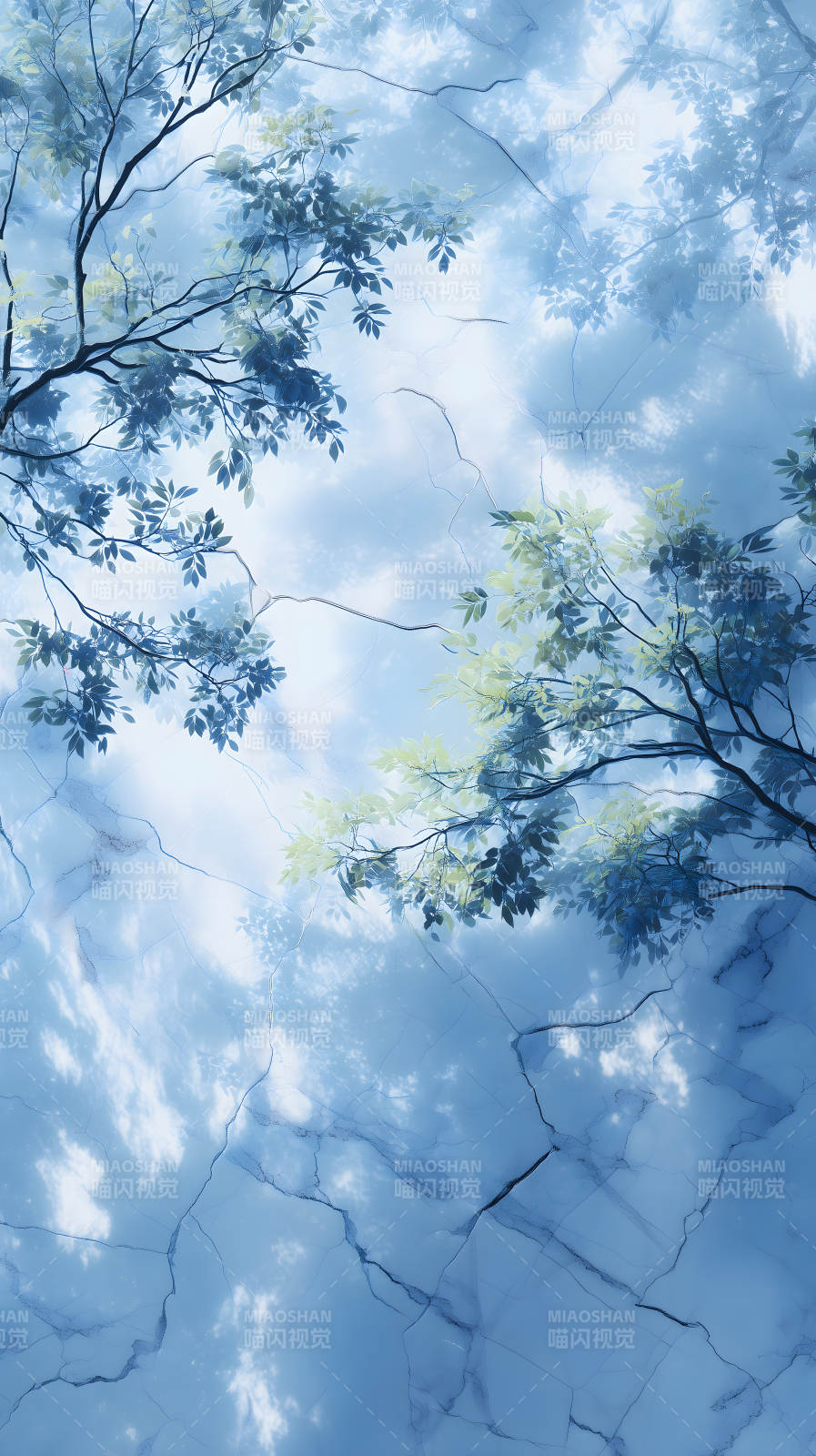 树影婆娑天空幽蓝图片