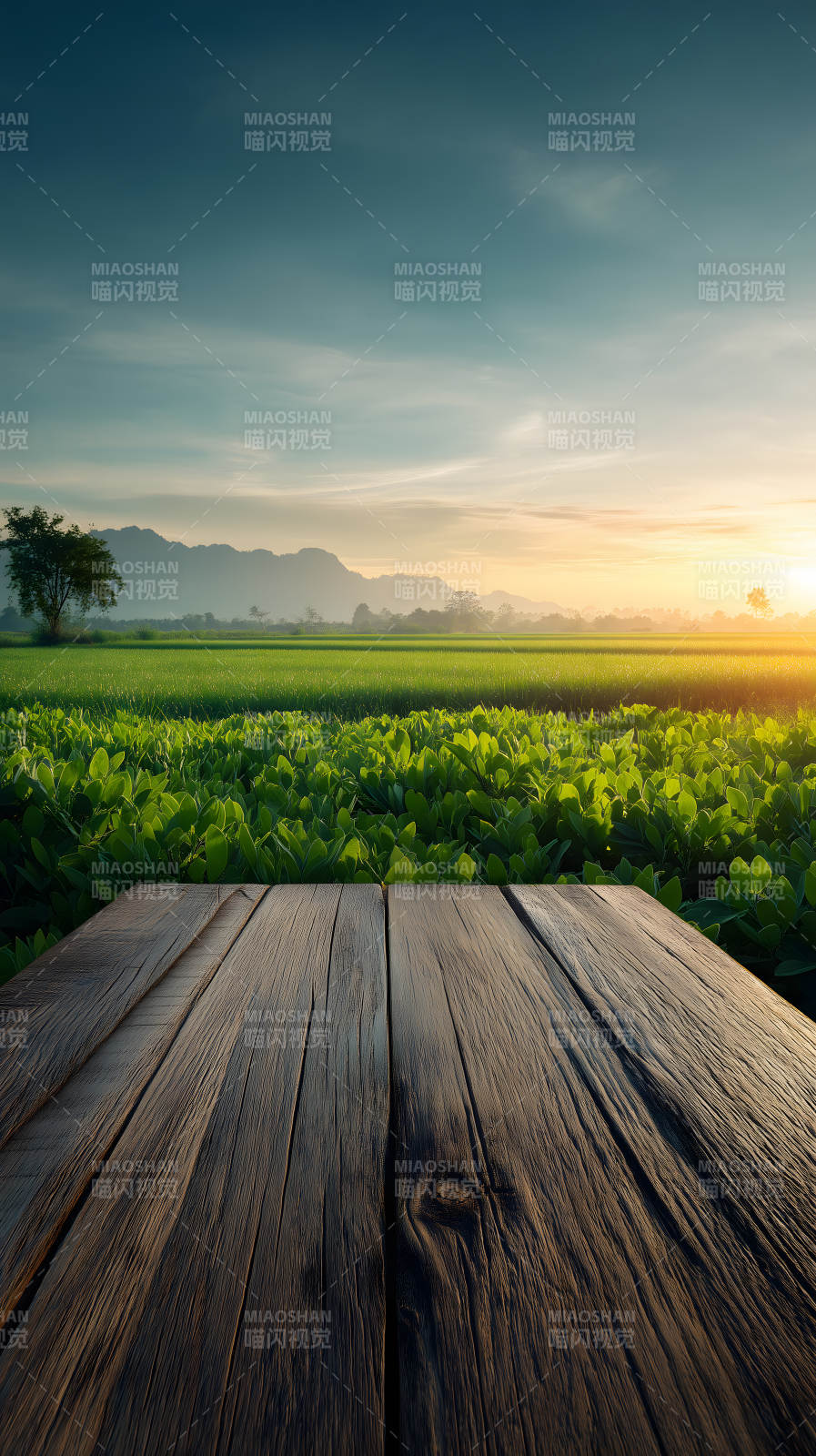 田园风光木板前景图片
