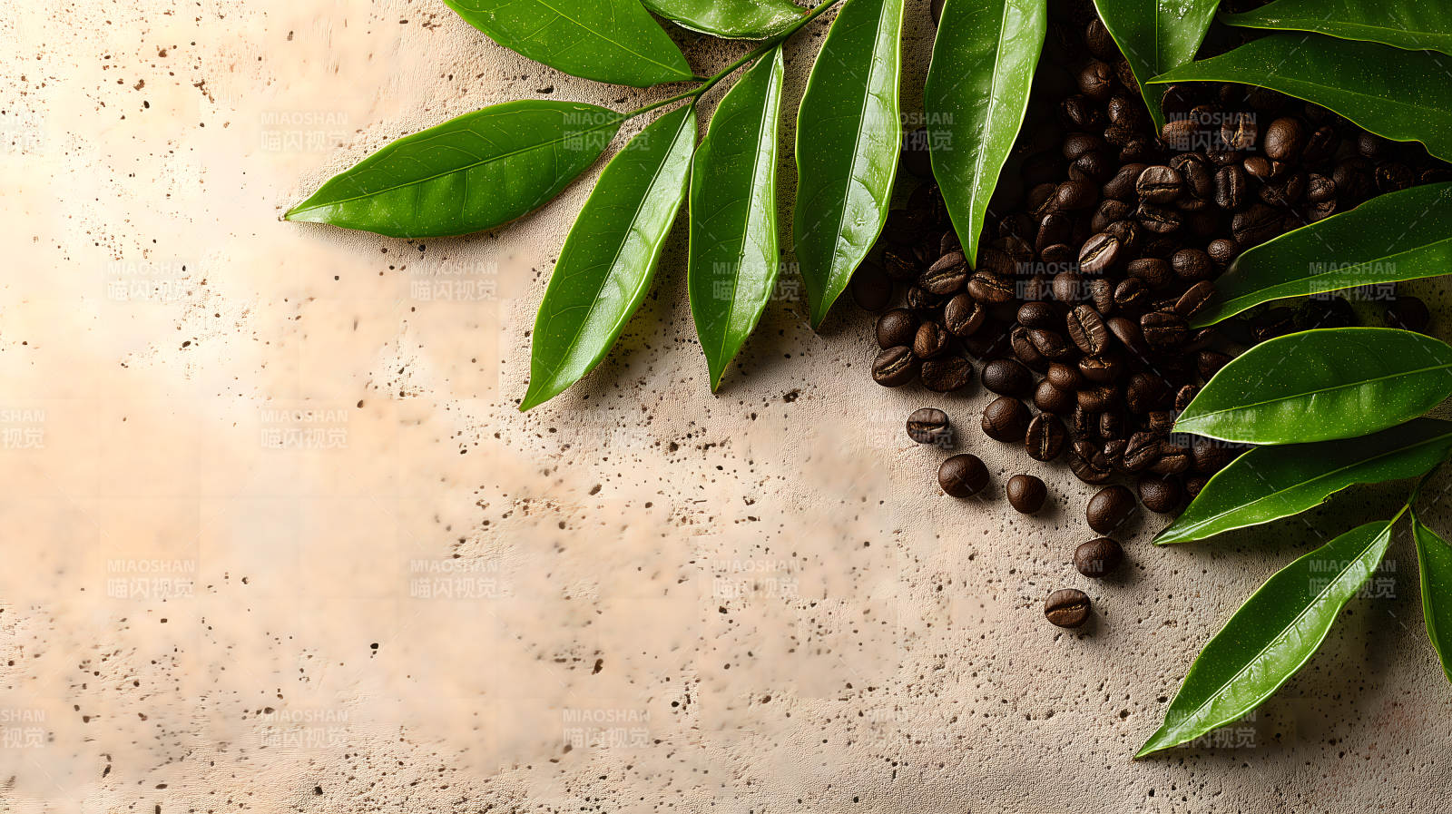 咖啡豆和绿叶装饰图片