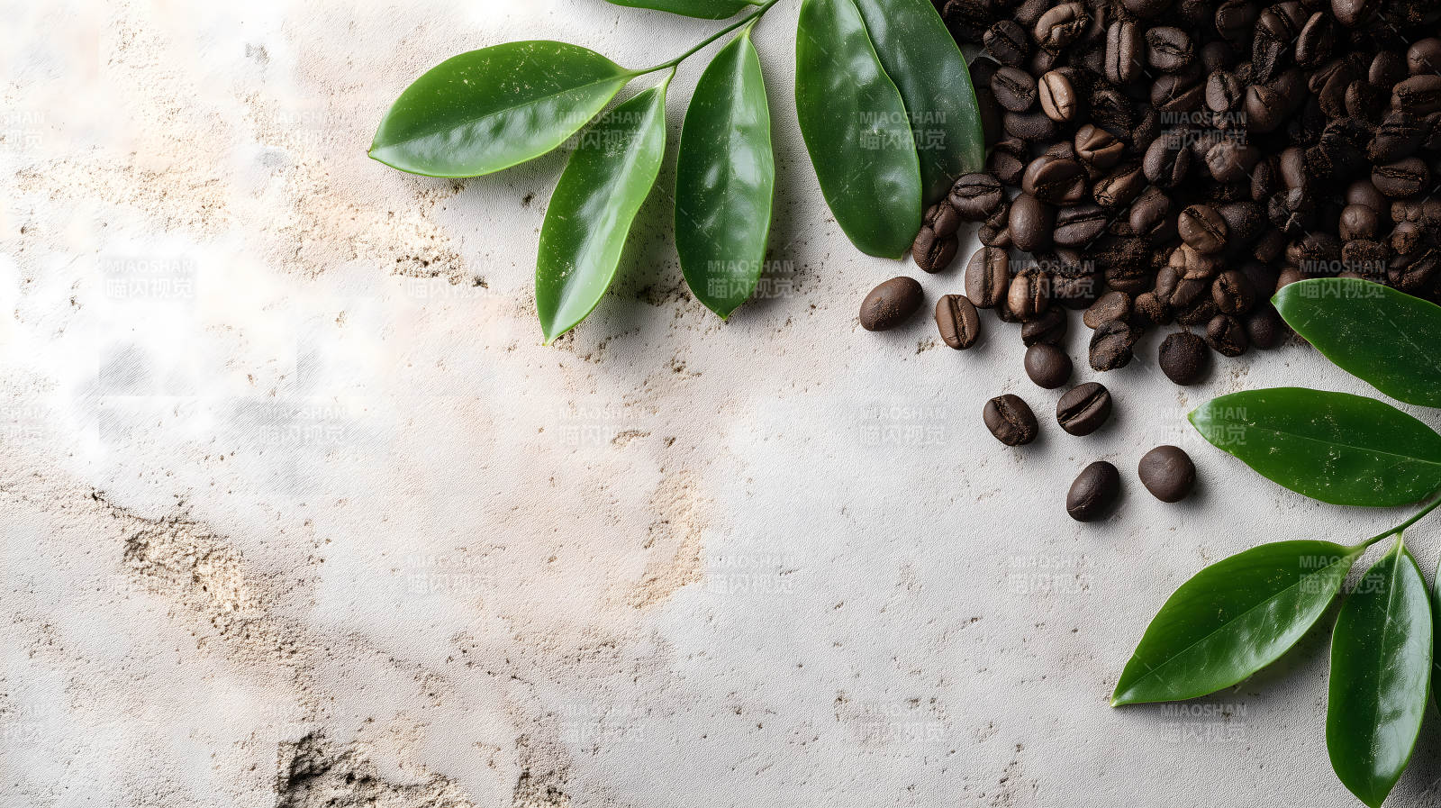 咖啡豆与绿叶的静物图片