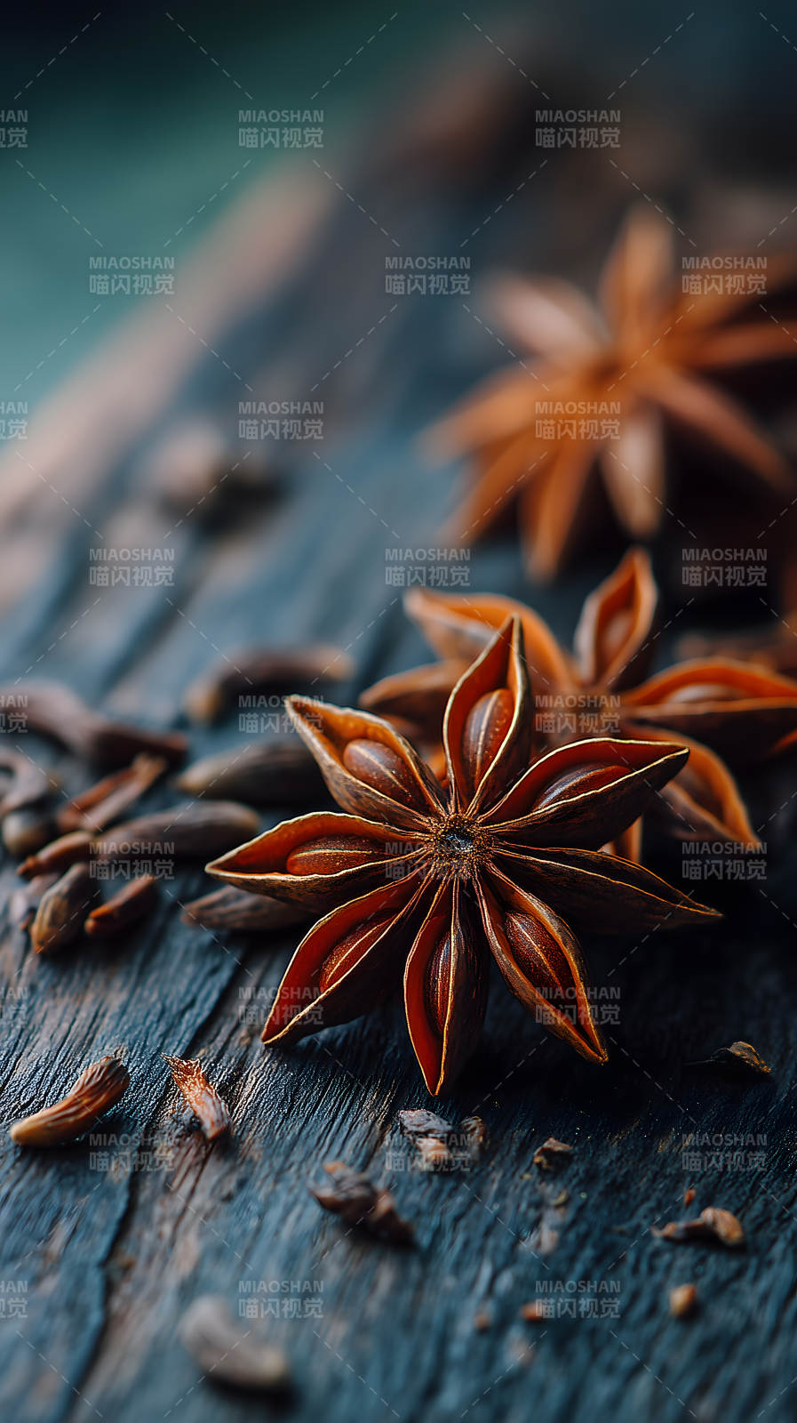 茴香星状特写图片