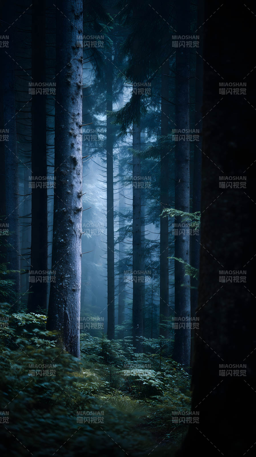 幽暗森林迷雾笼罩图片
