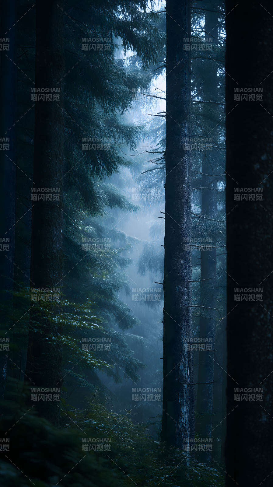 迷雾森林幽深幽暗图片