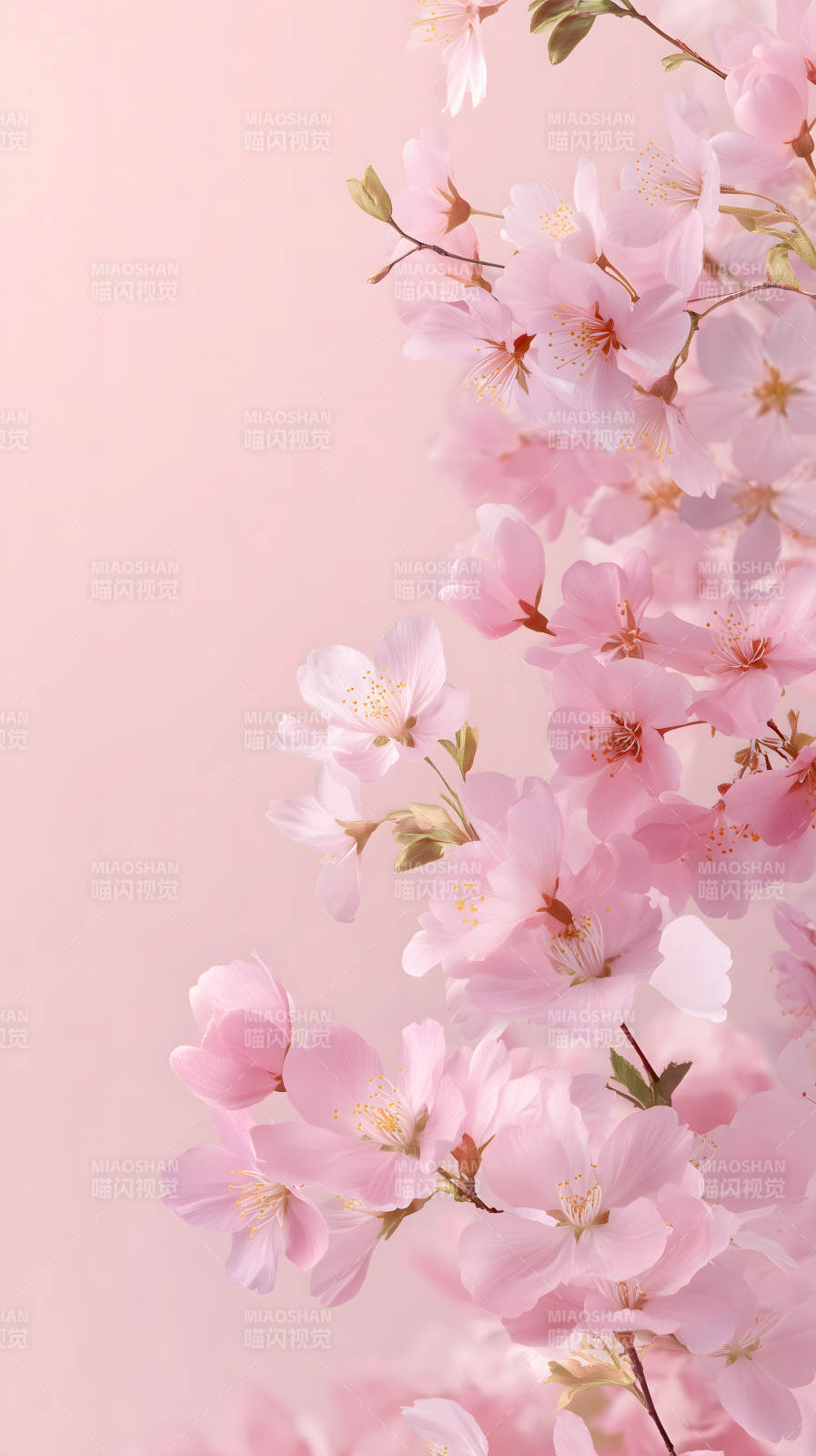 粉色樱花唯美意境图片