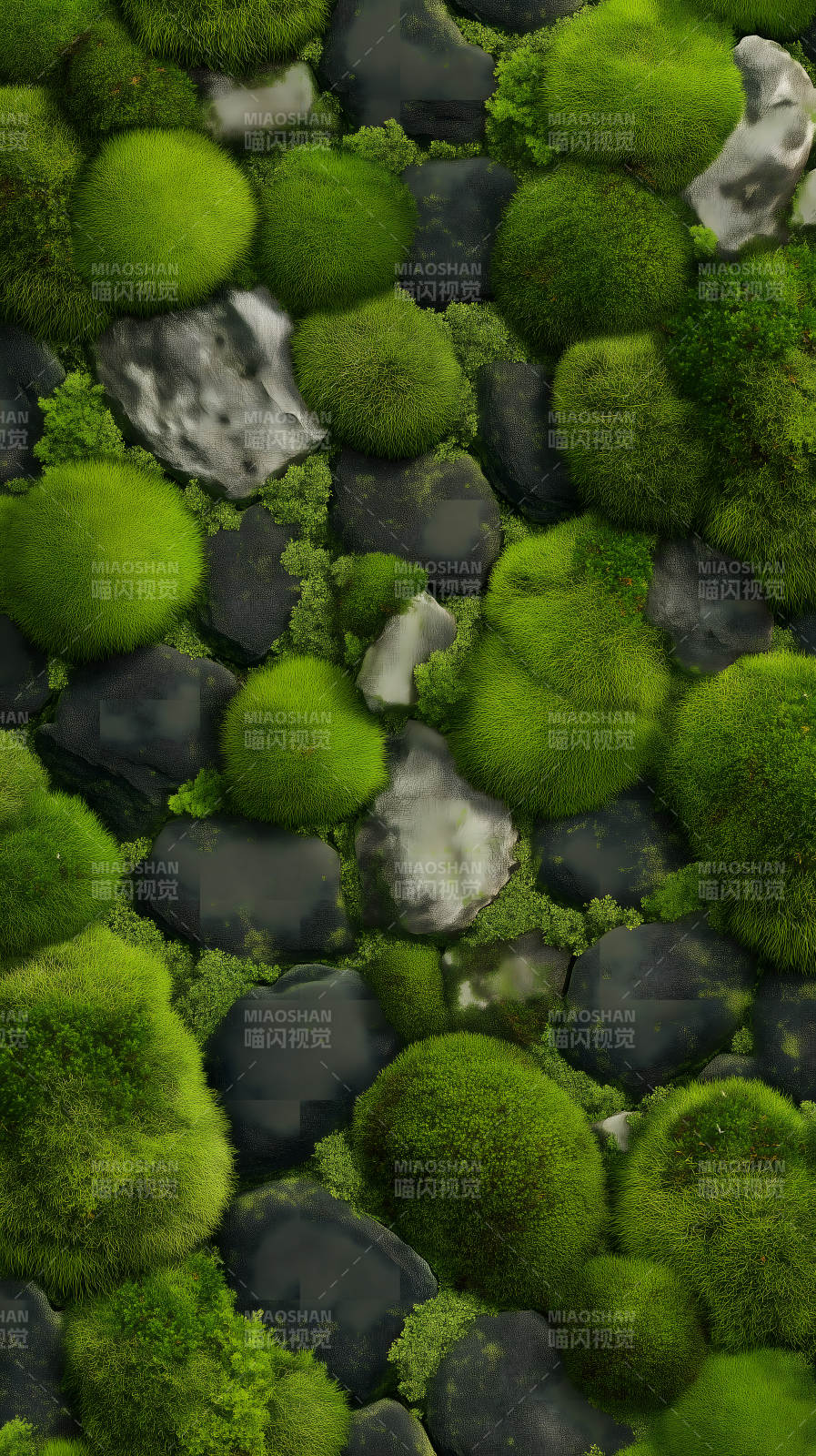 苔藓覆盖岩石图片