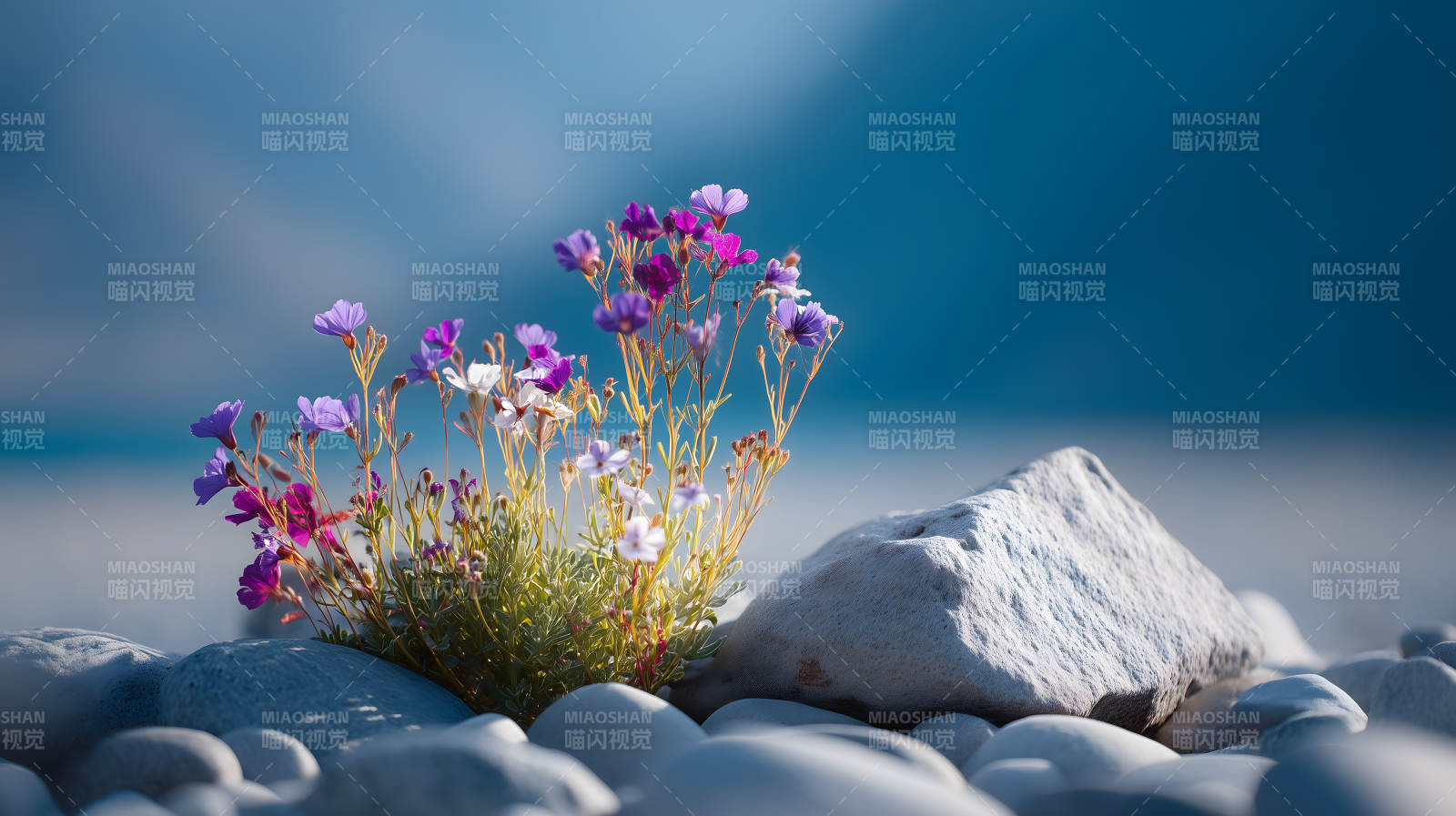 花石海蓝静谧景象图片